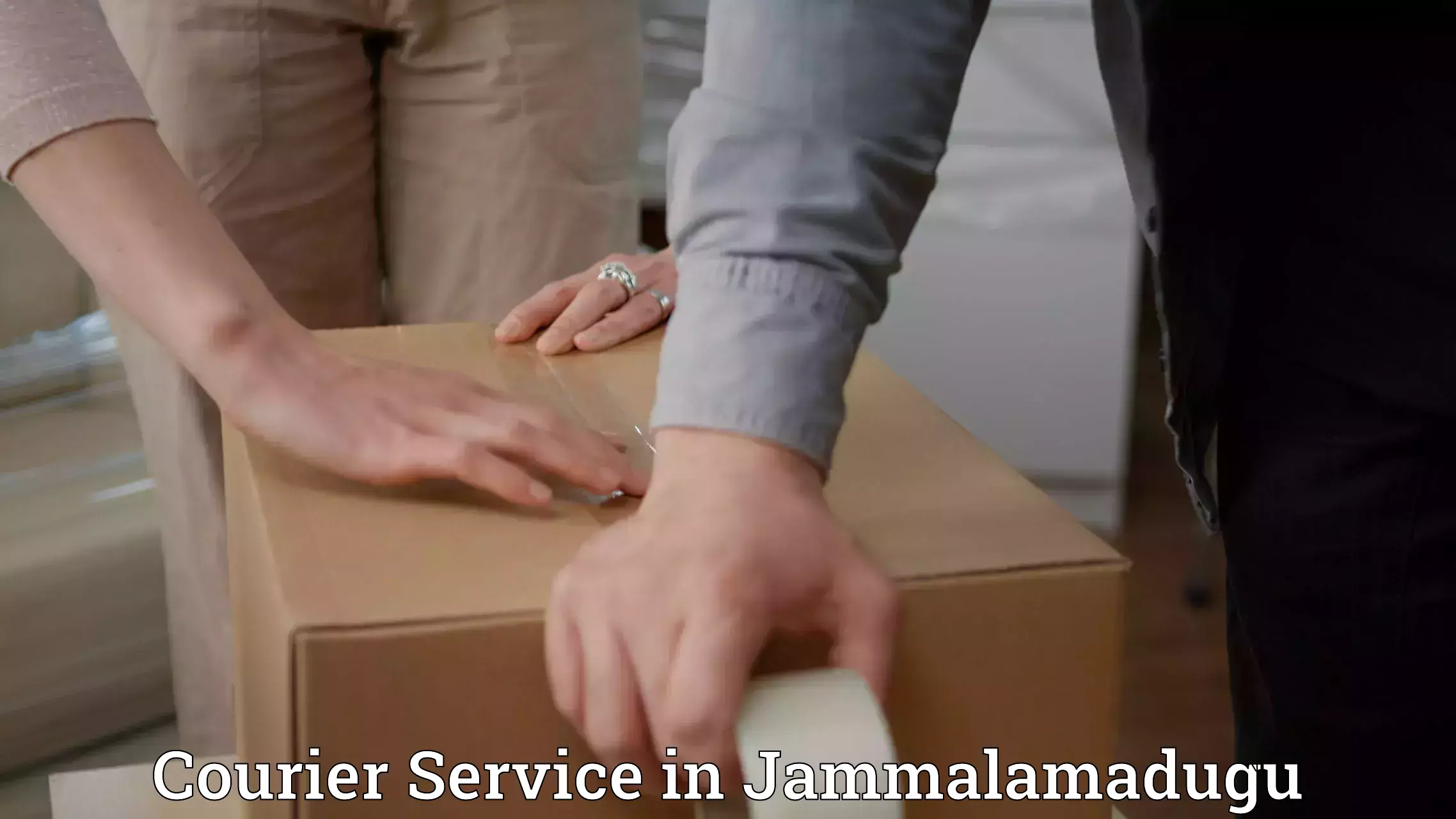 High-efficiency logistics in Jammalamadugu