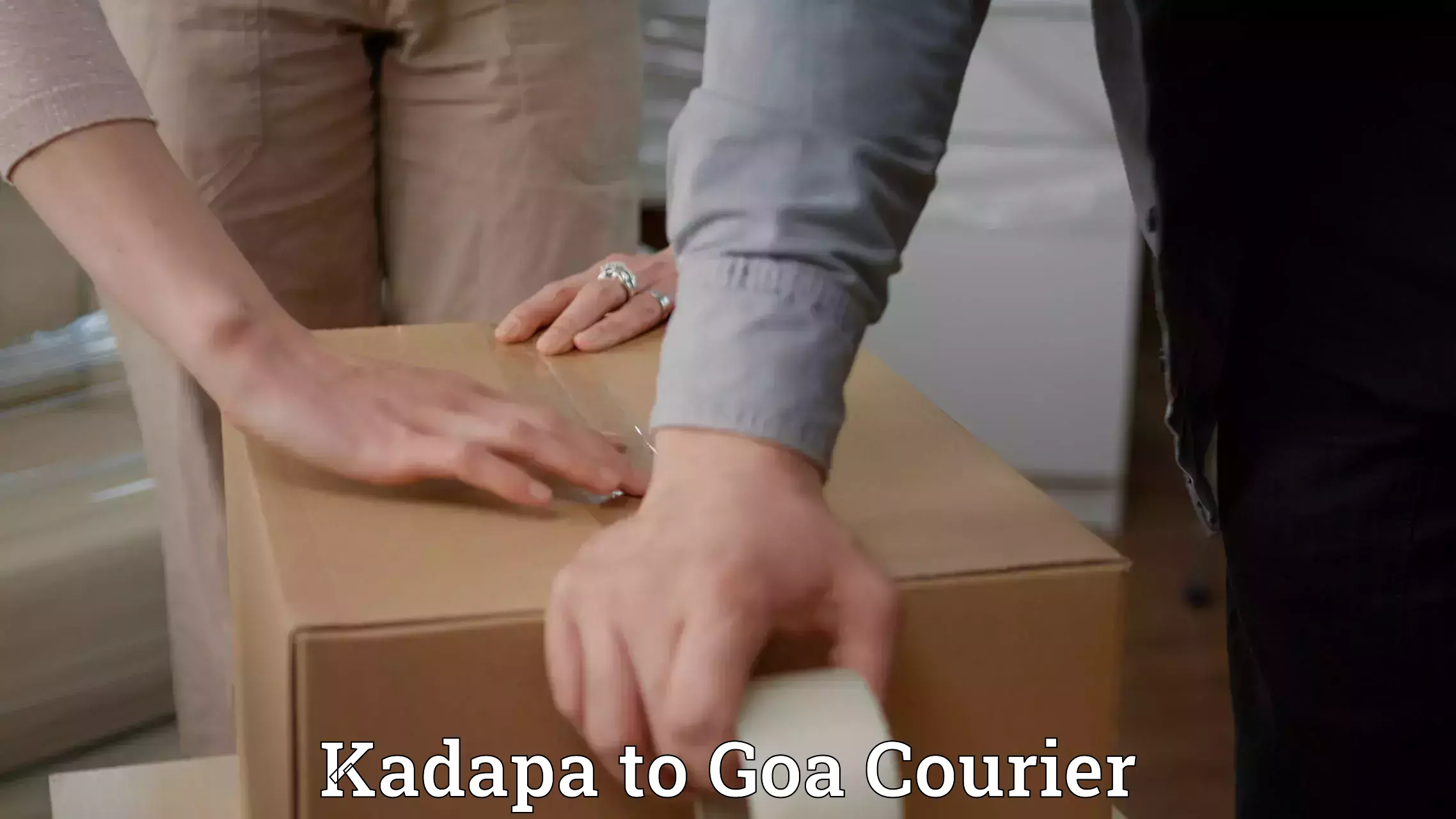 Next-day delivery options Kadapa to Bicholim