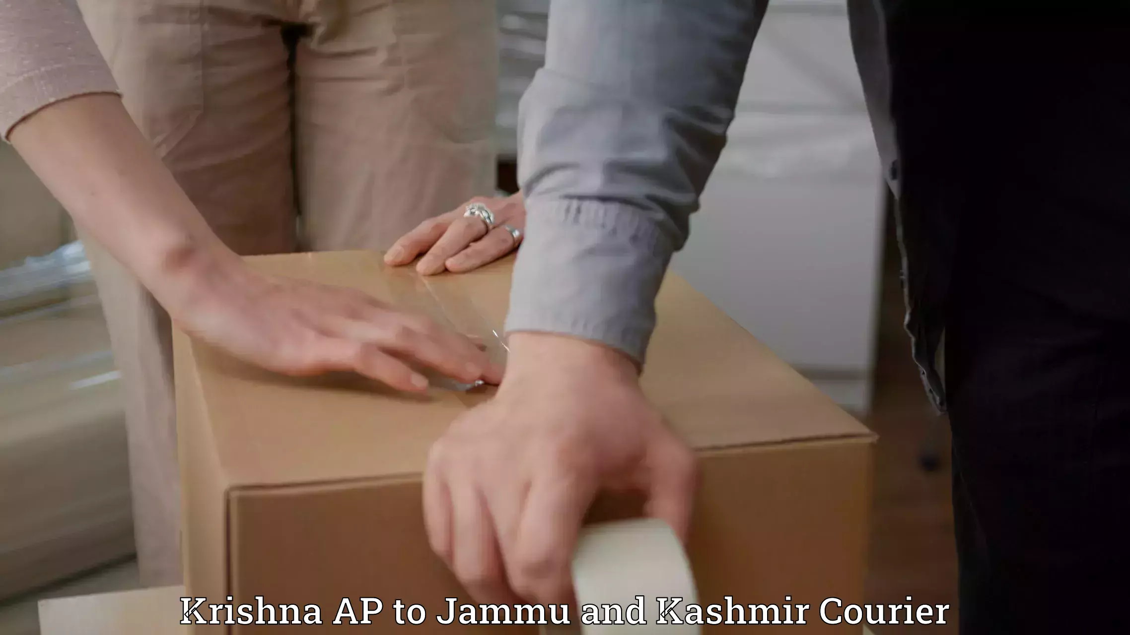 Express delivery network Krishna AP to Jammu and Kashmir