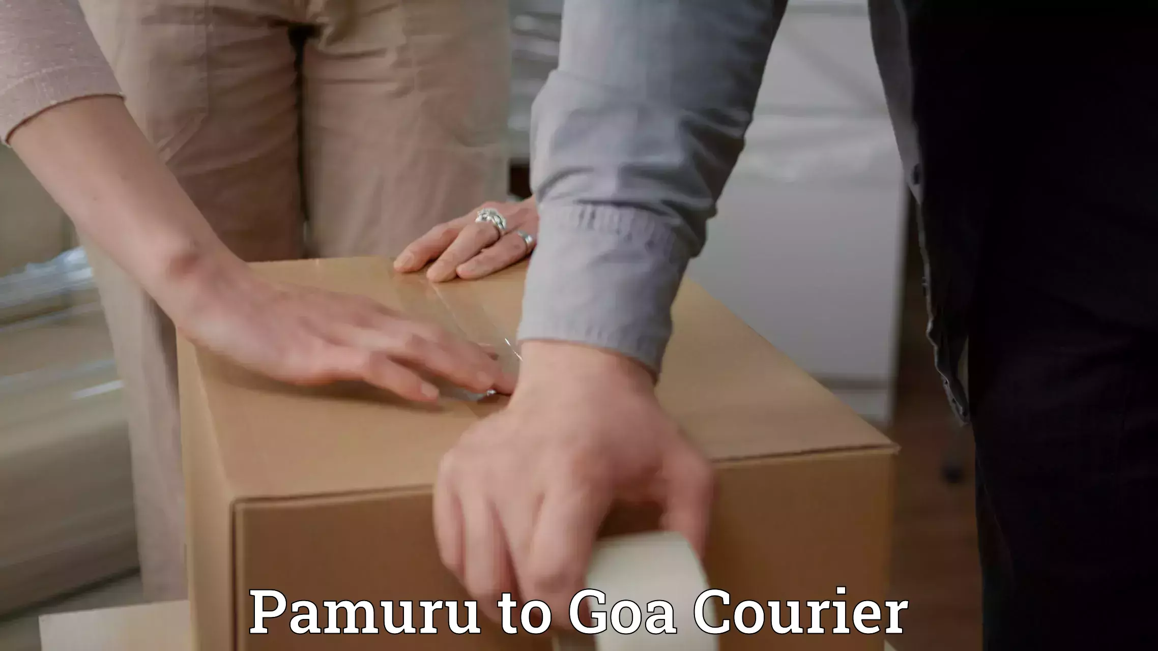 24-hour courier service Pamuru to Mormugao Port