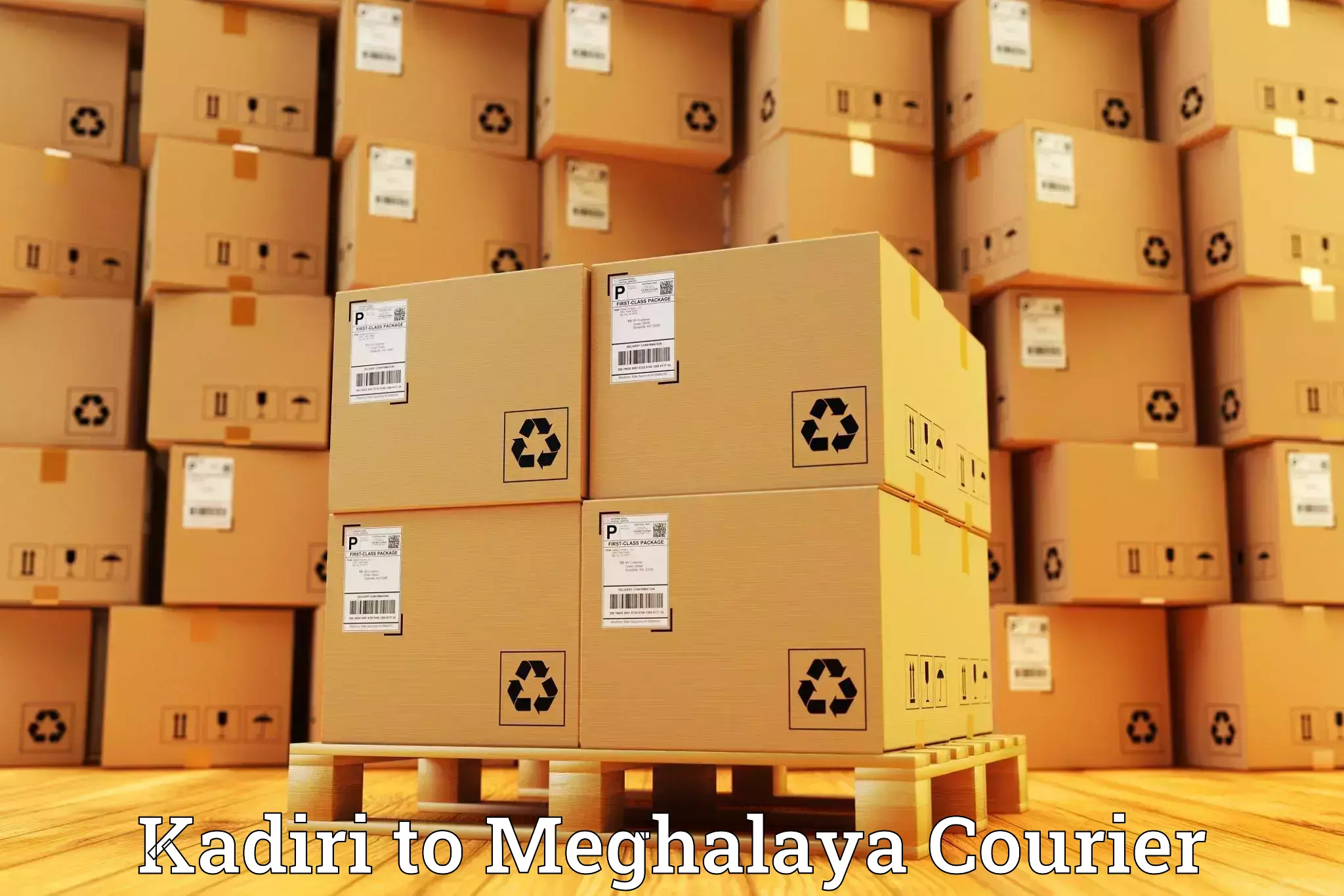 Easy access courier services Kadiri to Meghalaya
