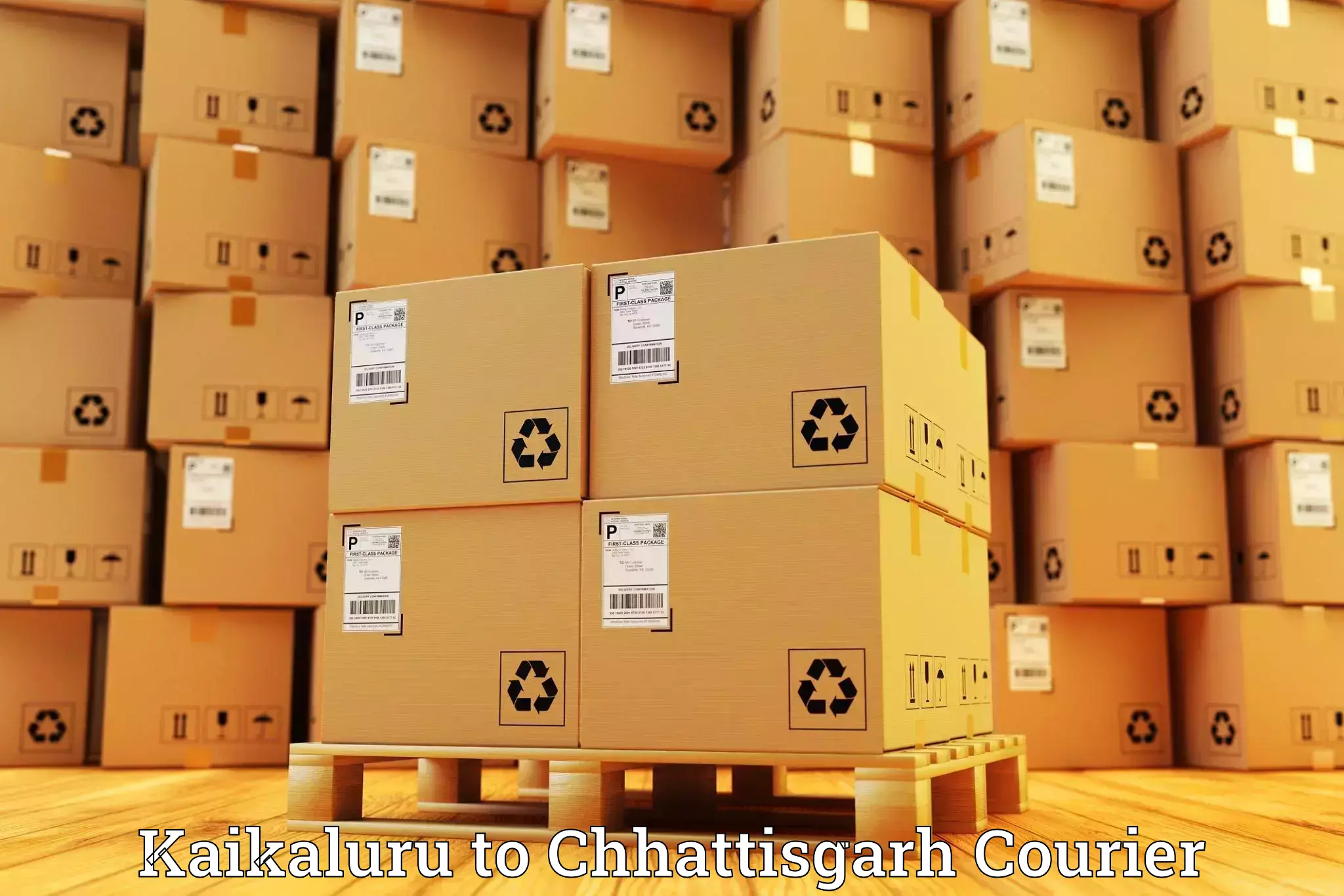 Customized delivery solutions Kaikaluru to Pakhanjur