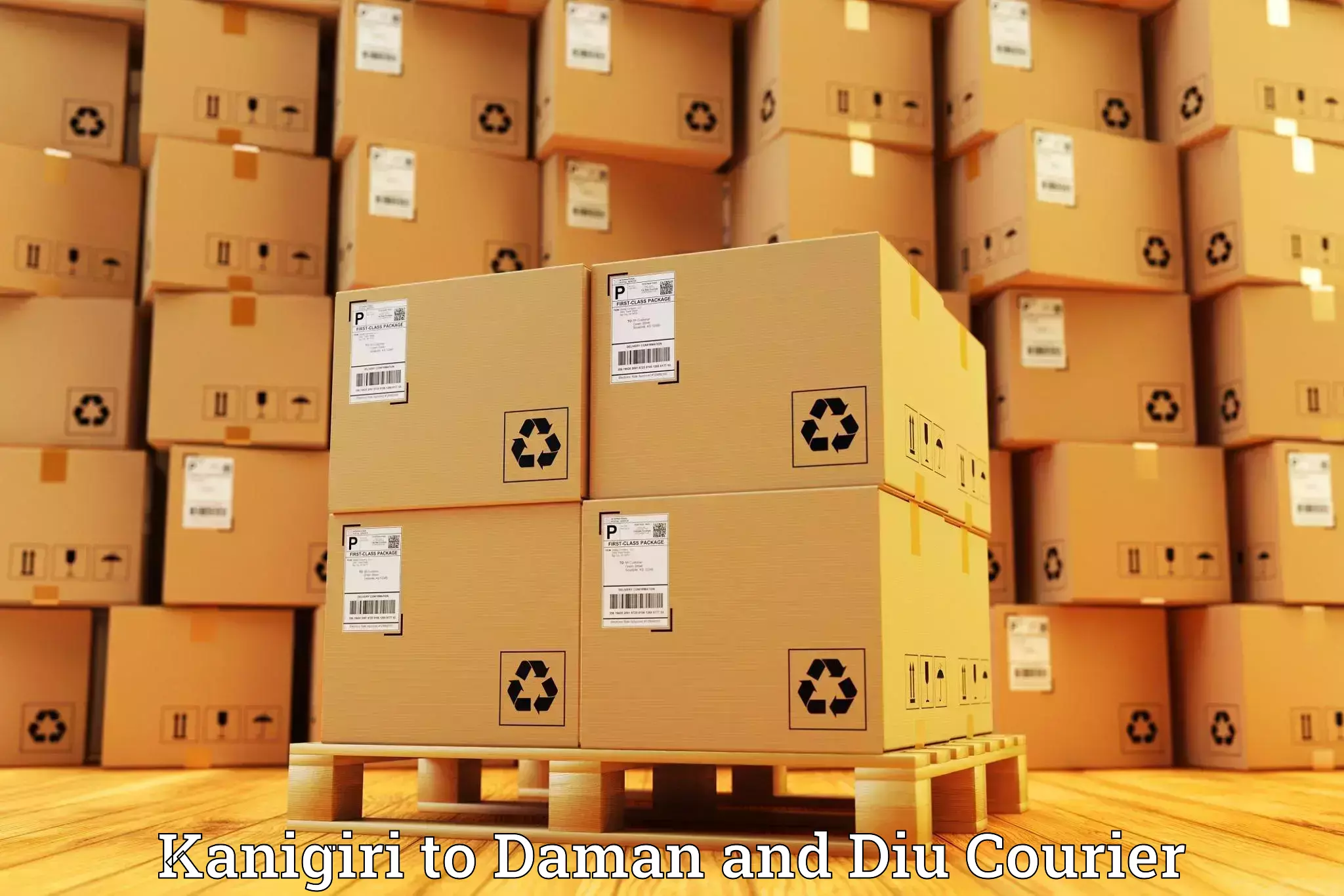 Affordable parcel rates Kanigiri to Daman and Diu