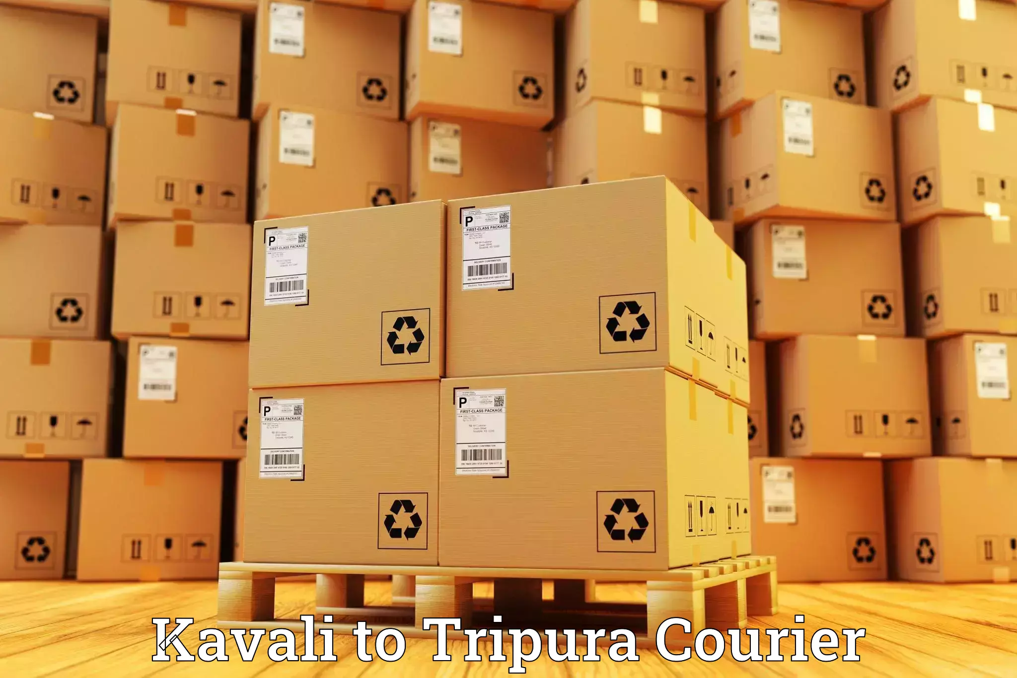 Express postal services Kavali to Ambassa