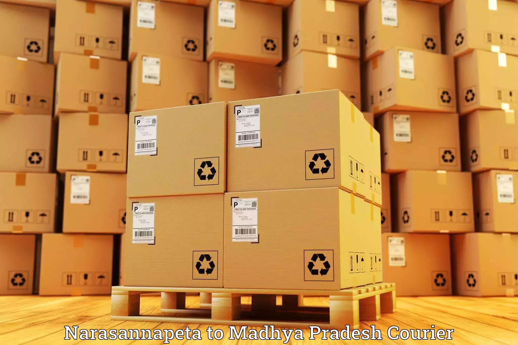 Custom logistics solutions Narasannapeta to Burhar