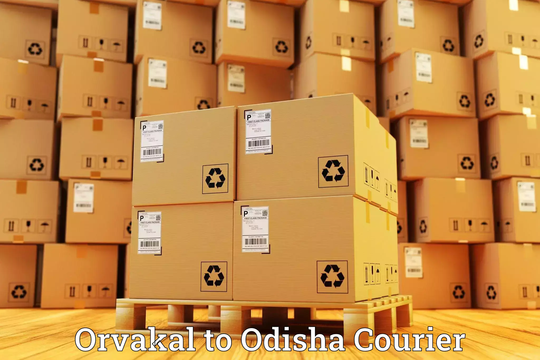 Personal parcel delivery Orvakal to Mohana