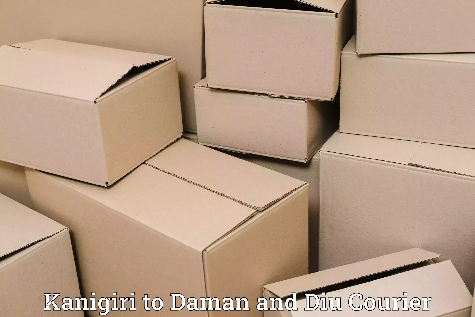 Business delivery service Kanigiri to Daman and Diu