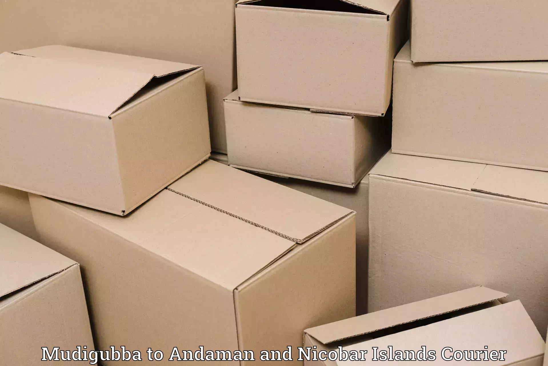 Subscription-based courier Mudigubba to Andaman and Nicobar Islands