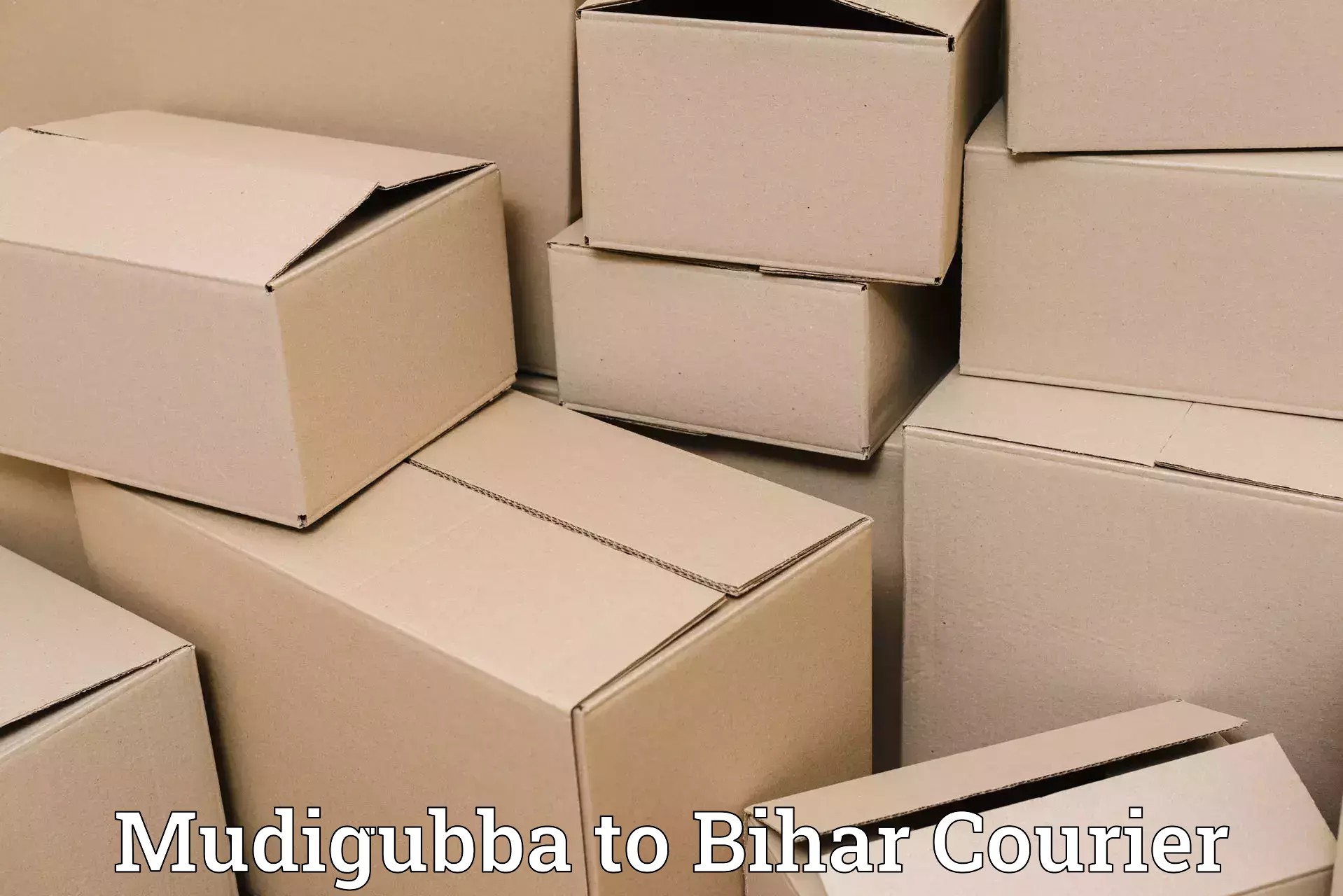 Postal and courier services Mudigubba to Bakhtiarpur
