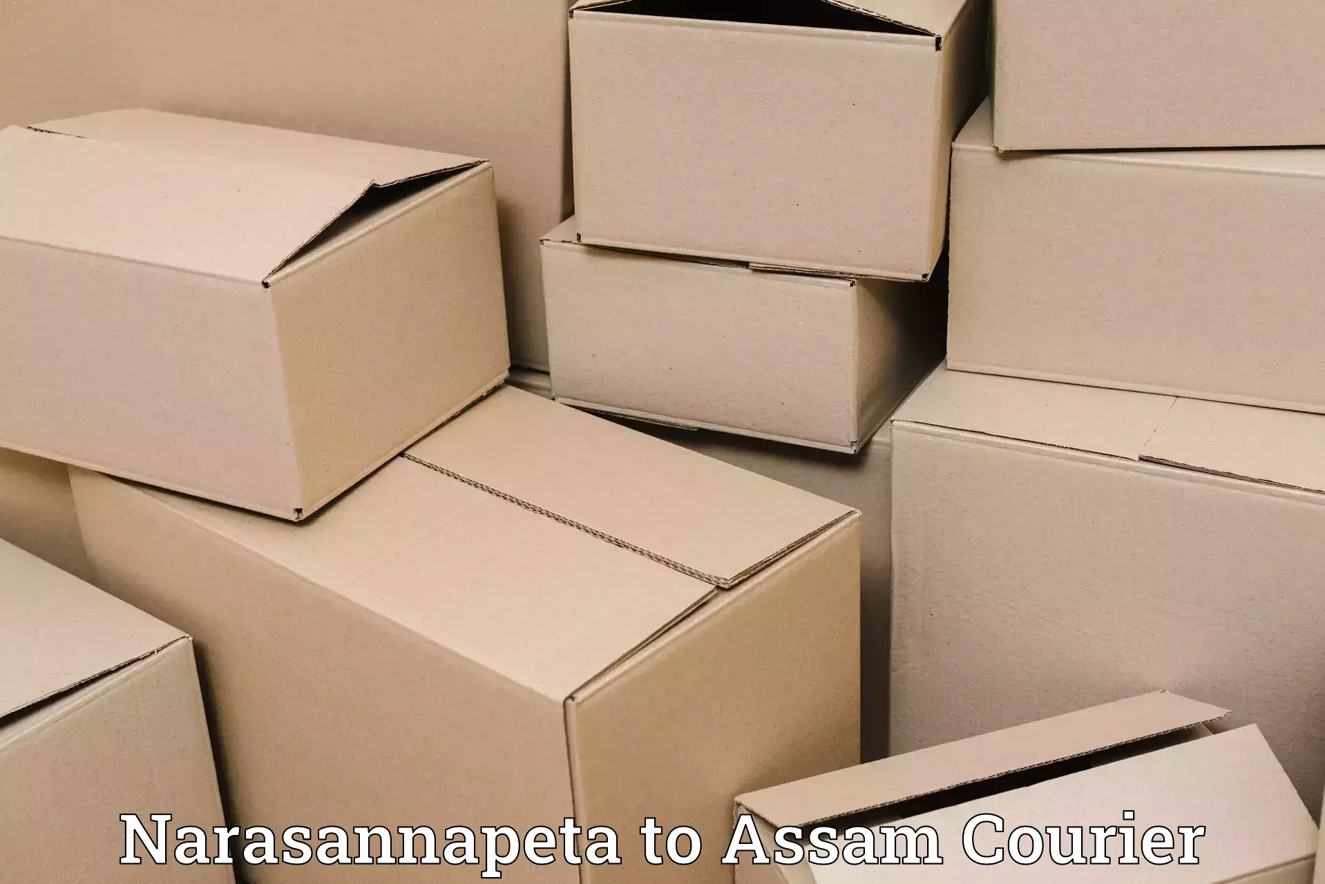 Fast-track shipping solutions Narasannapeta to Jamugurihat