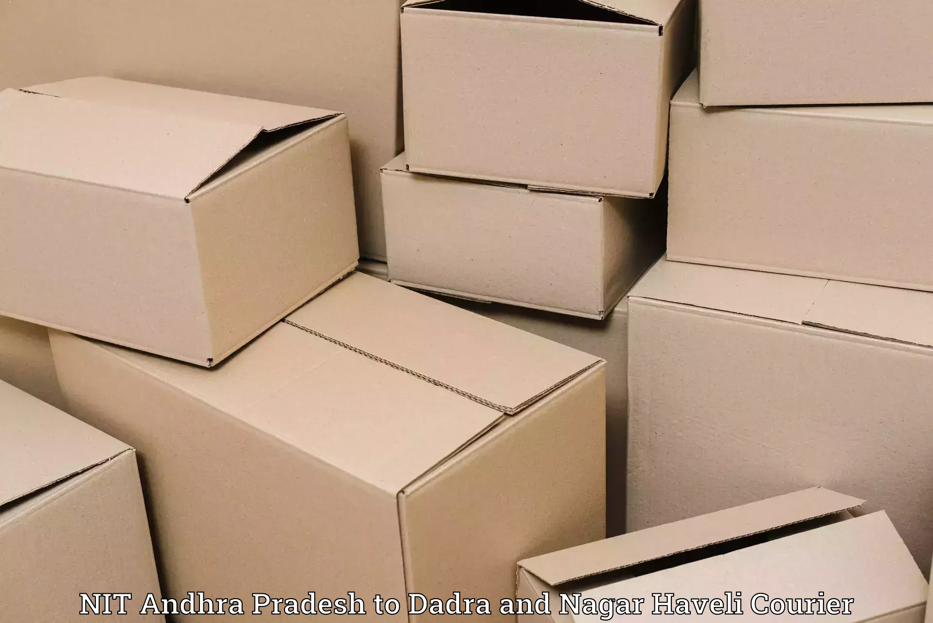 Tailored shipping plans NIT Andhra Pradesh to Silvassa