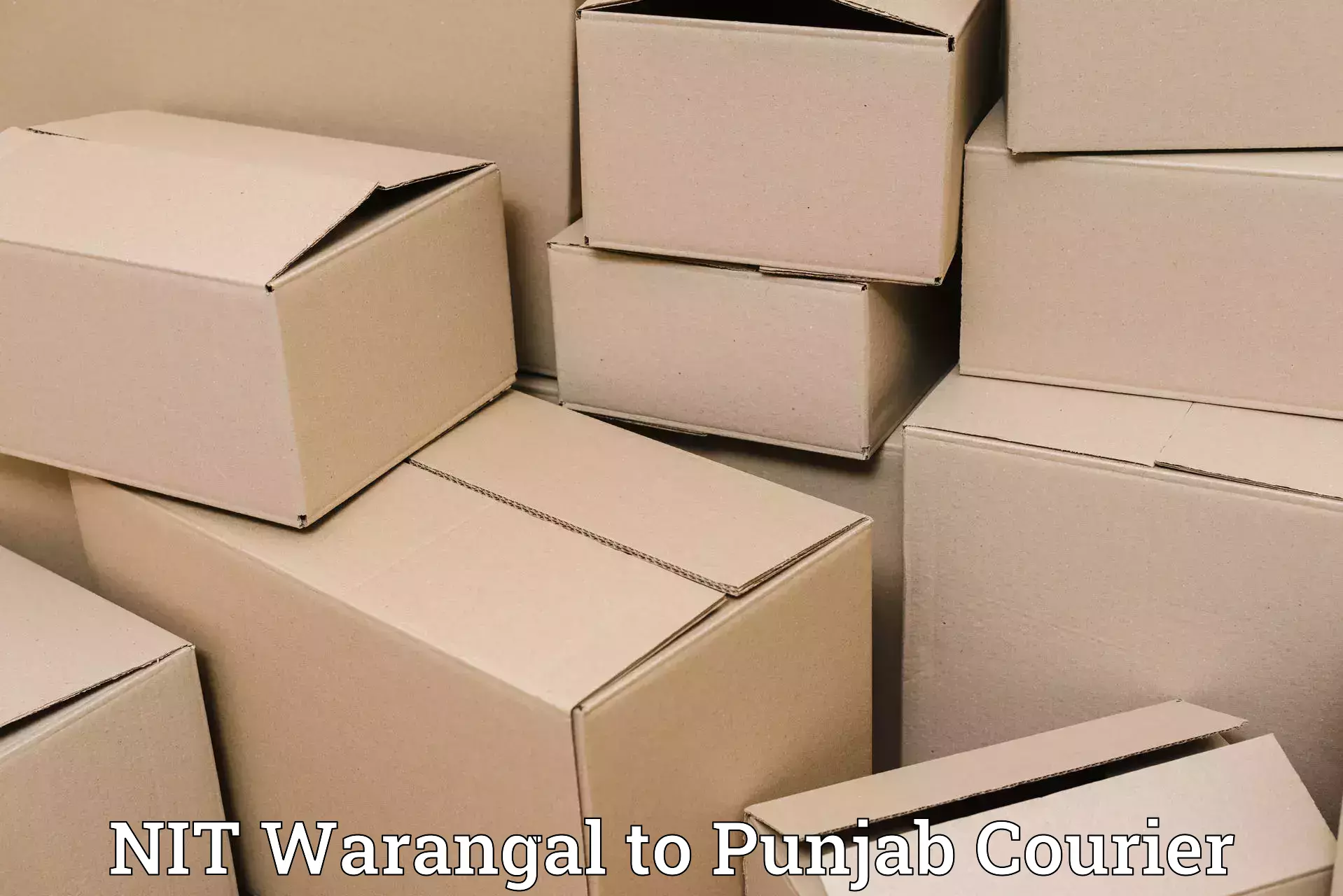 Logistics efficiency in NIT Warangal to Zirakpur