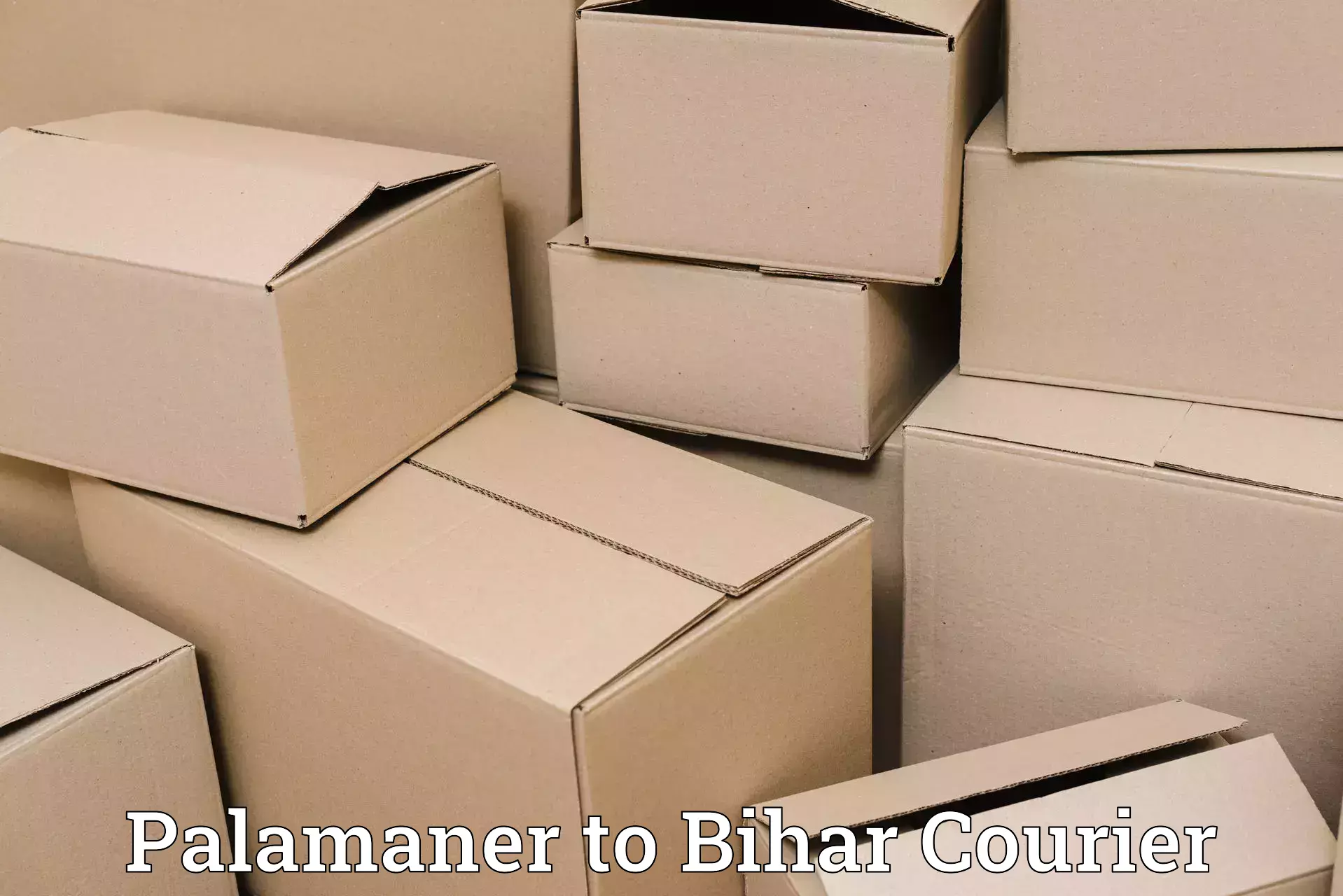 Same-day delivery solutions Palamaner to Sikandara Jamui