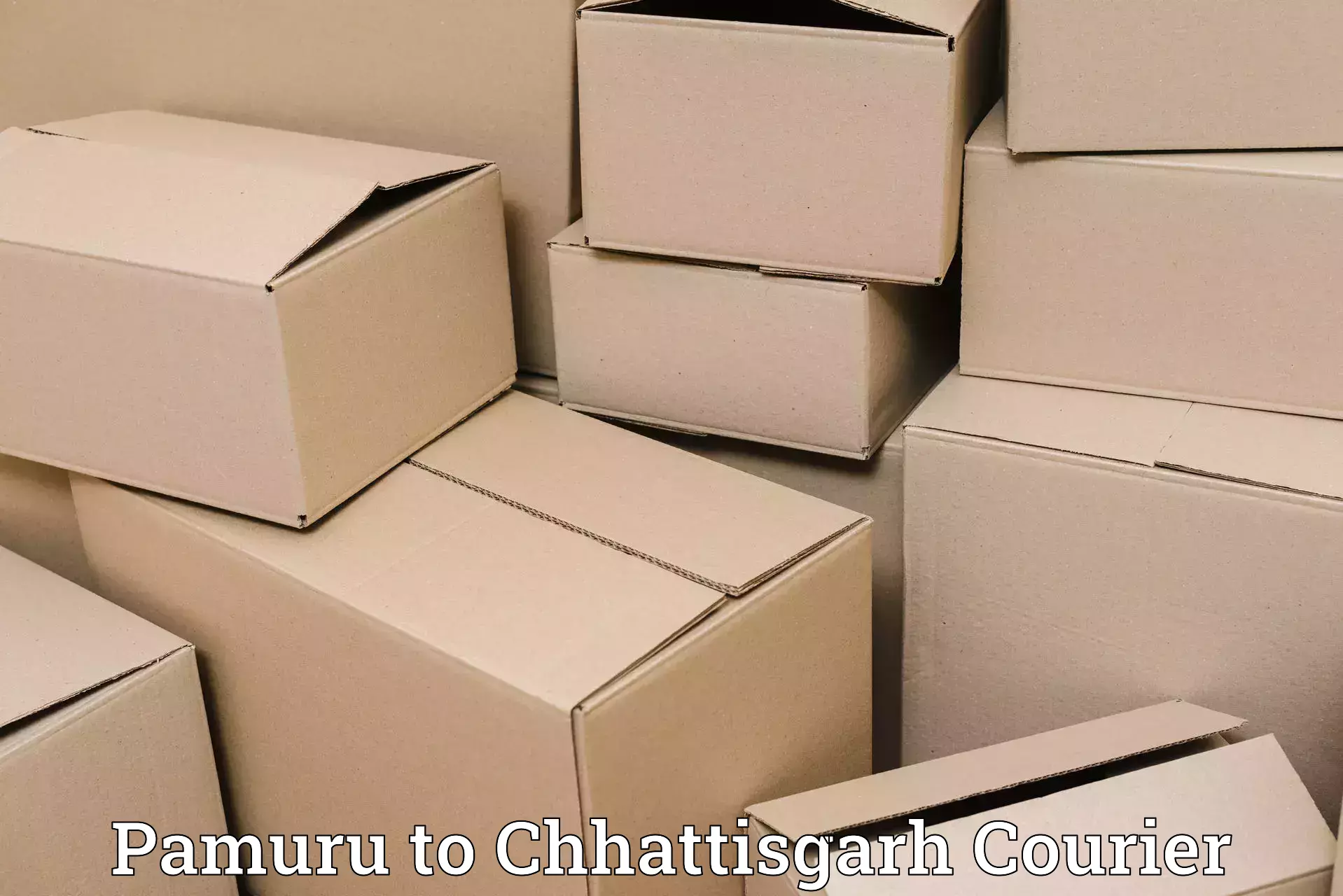 Courier service booking in Pamuru to Korea Chhattisgarh