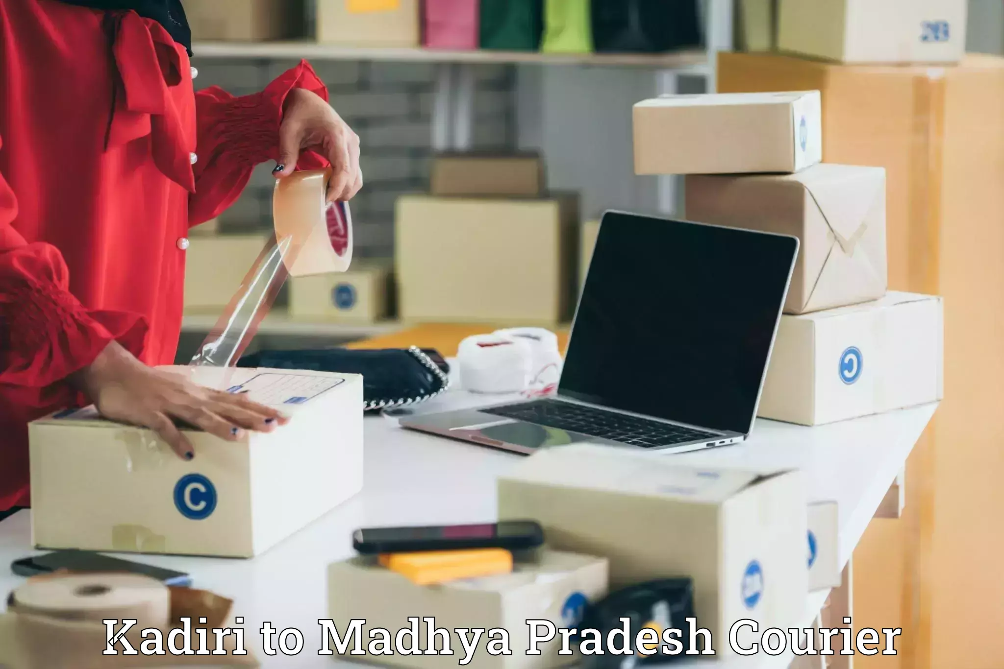 Express delivery capabilities Kadiri to Barhi Katni