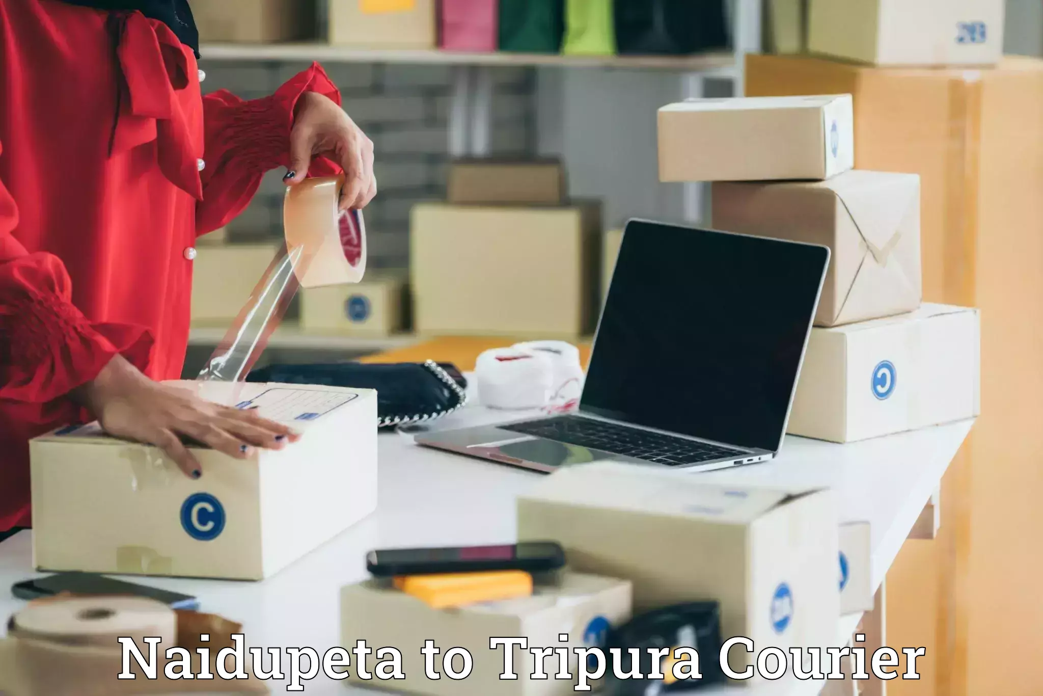 Reliable courier service Naidupeta to West Tripura