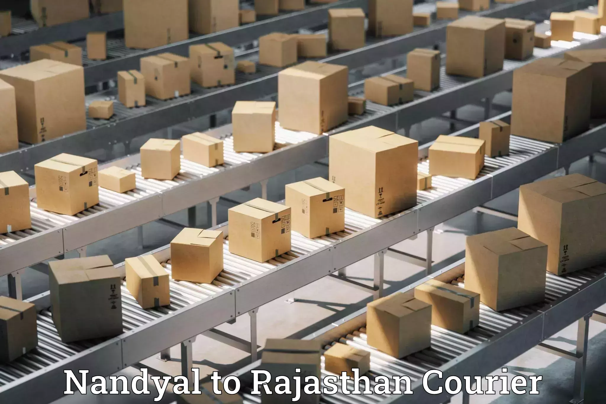 High-speed delivery Nandyal to Rajasthan