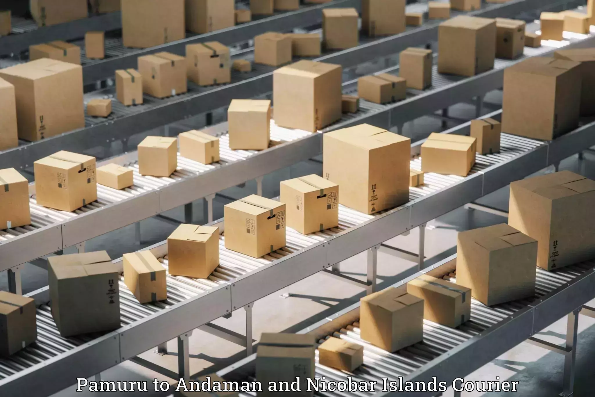 E-commerce logistics support Pamuru to Andaman and Nicobar Islands