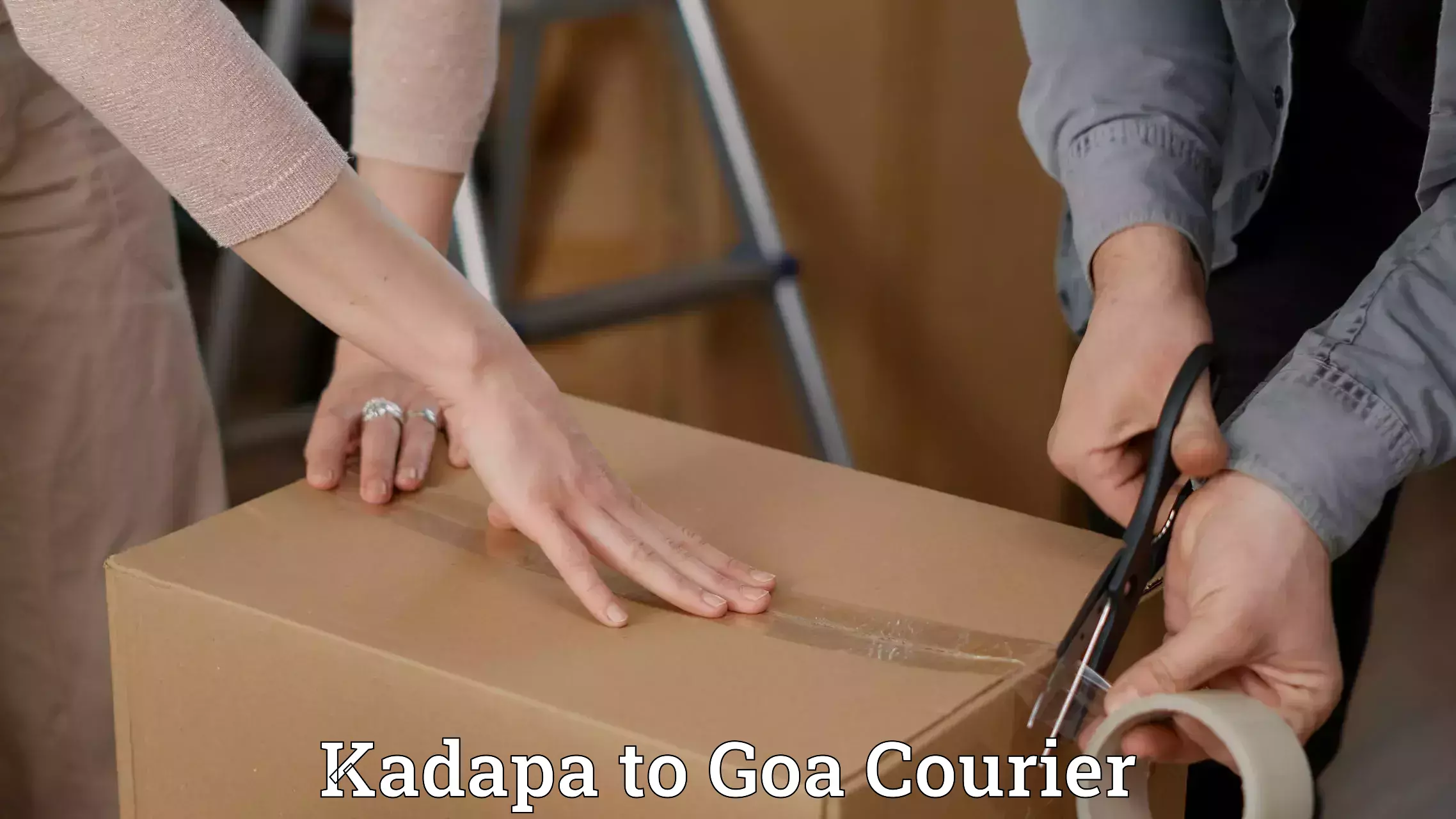 Easy access courier services Kadapa to Bicholim