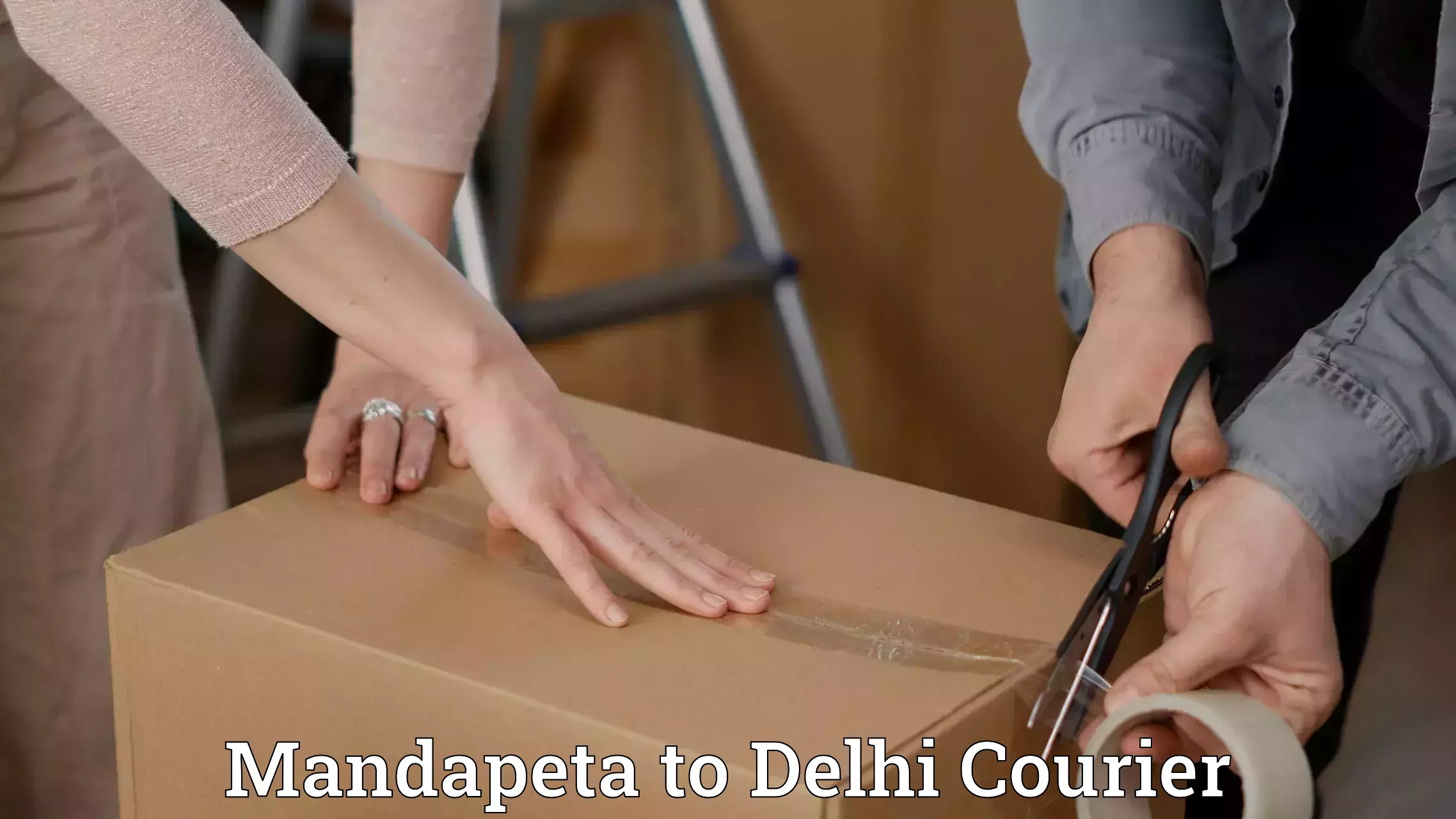 Global delivery options Mandapeta to Delhi