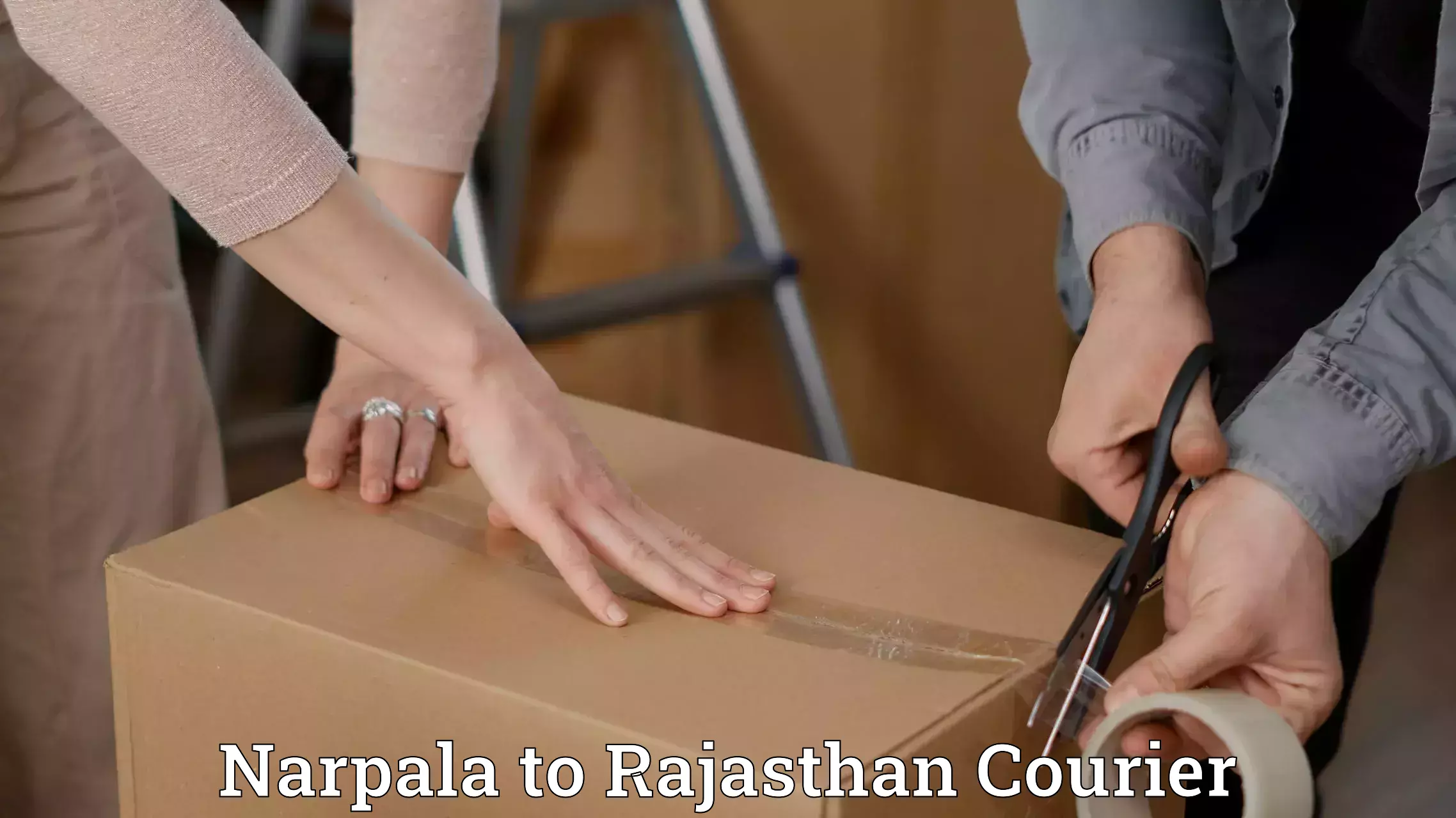 Expedited parcel delivery Narpala to Ramgarh Sikar