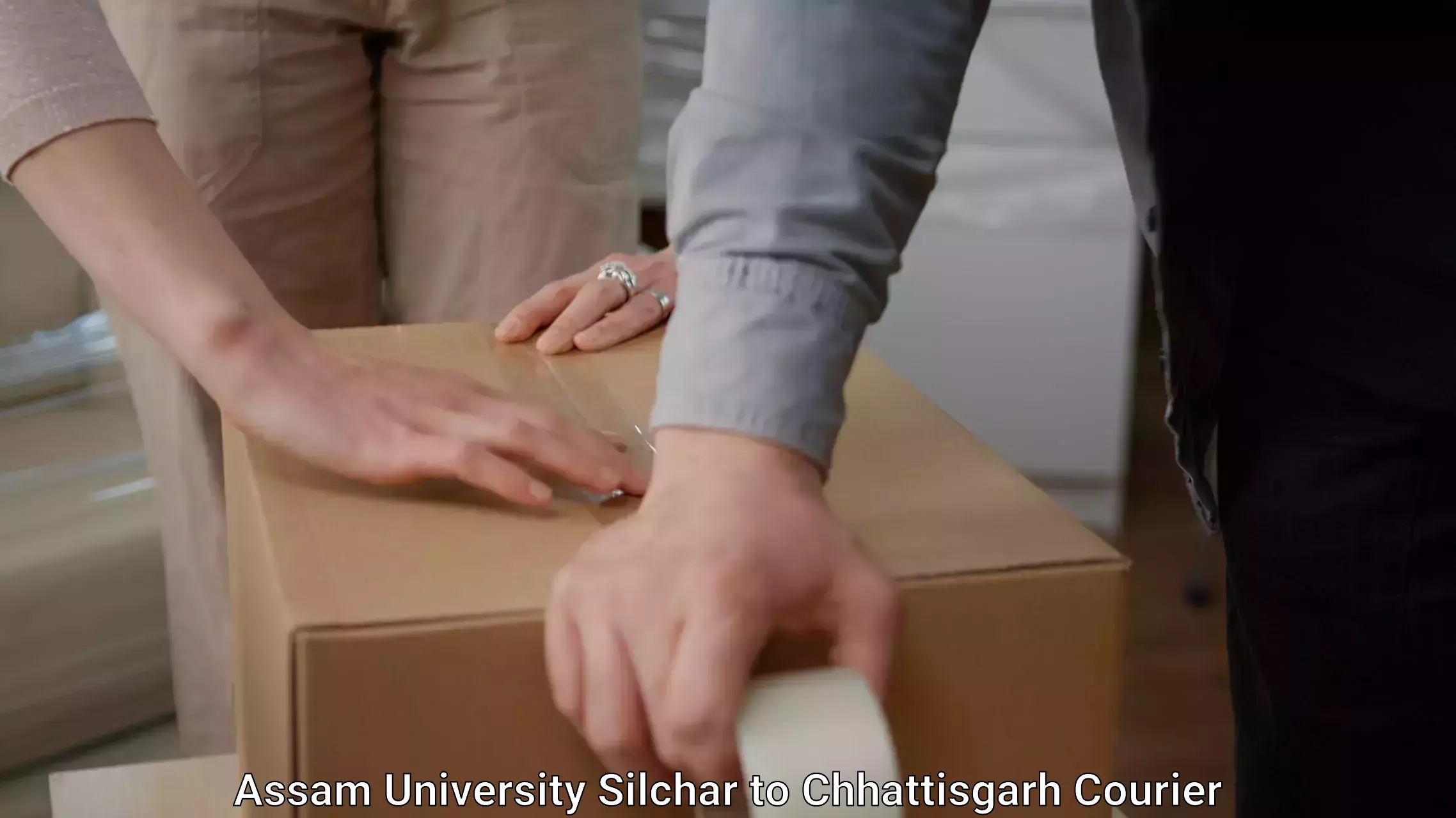 Efficient furniture movers Assam University Silchar to Rajnandgaon