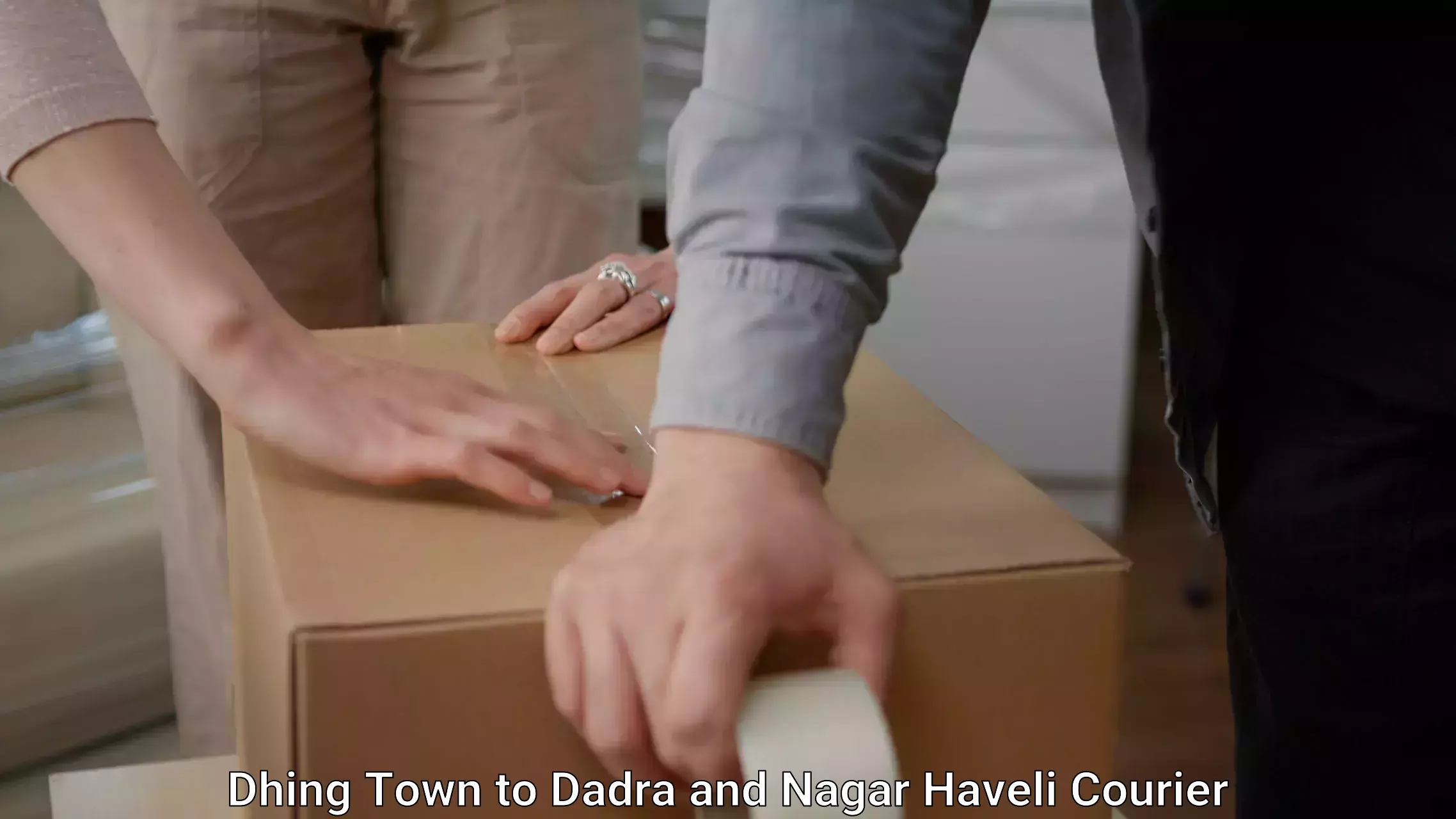 Reliable moving assistance Dhing Town to Dadra and Nagar Haveli