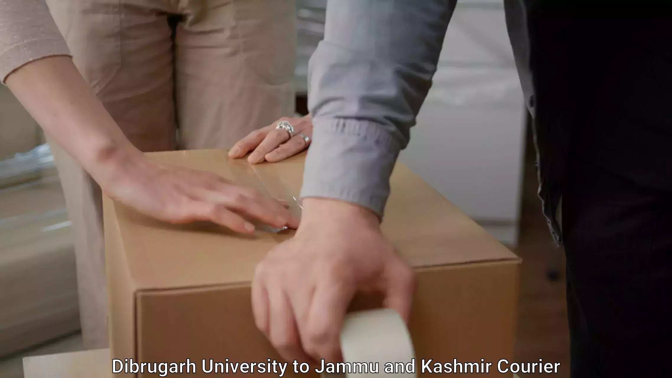 Reliable moving solutions Dibrugarh University to Rajouri