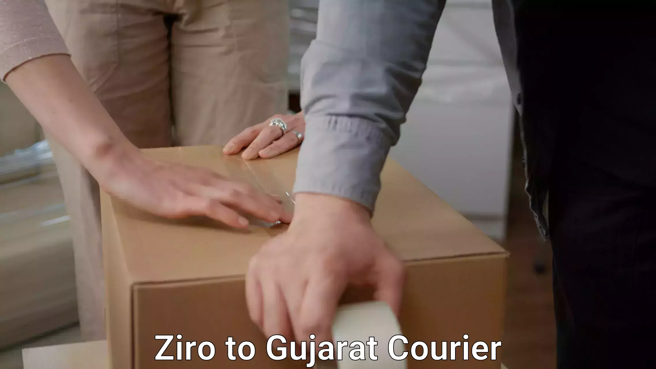 Professional packing and transport Ziro to Gujarat