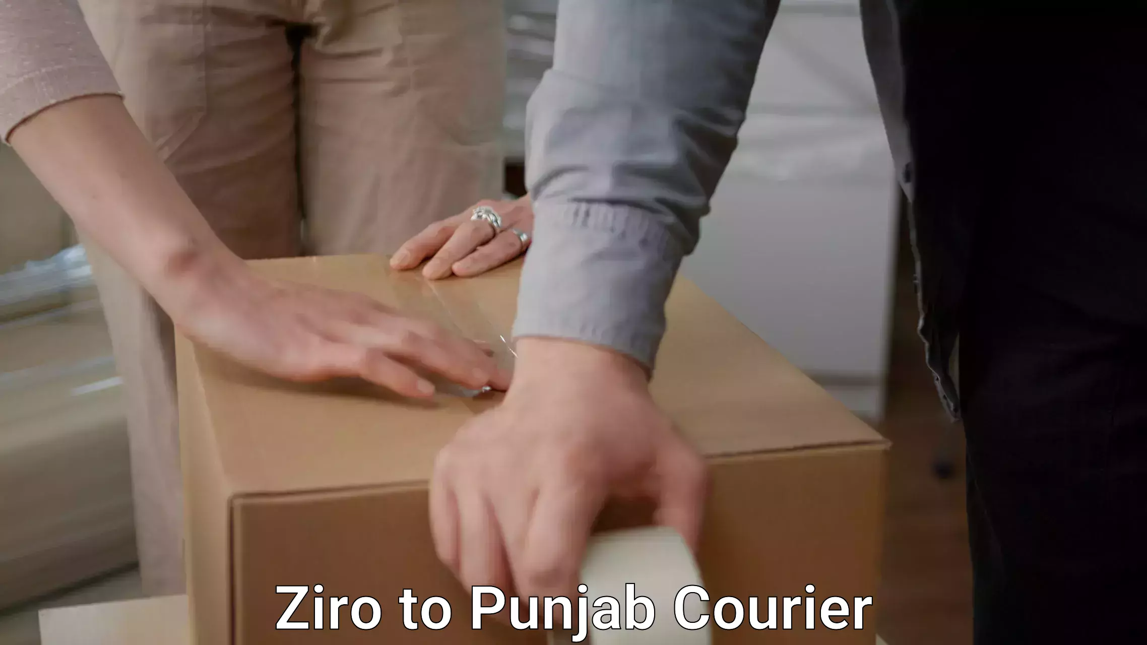 Budget-friendly movers in Ziro to Punjab