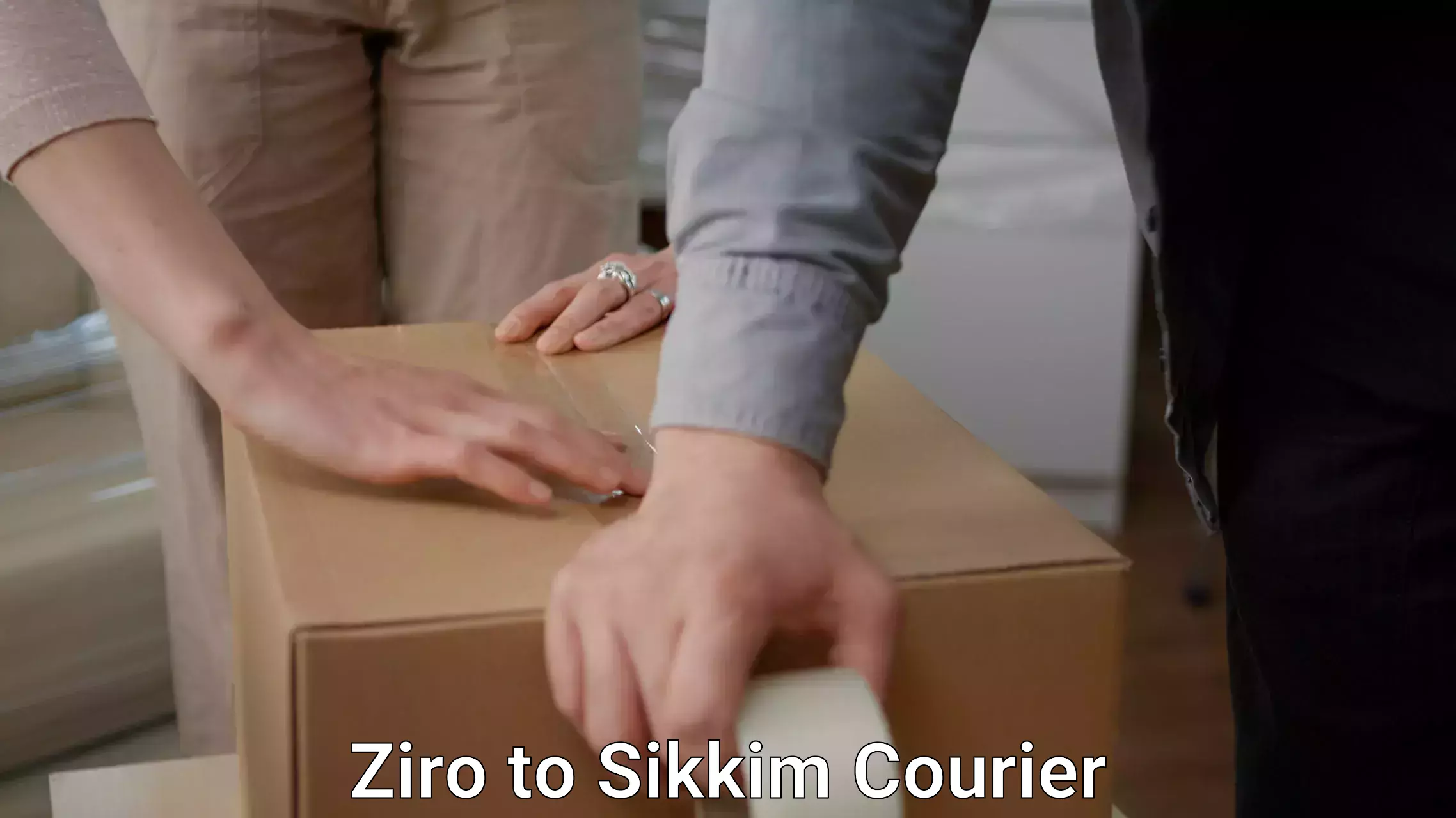 Trusted moving company Ziro to Sikkim