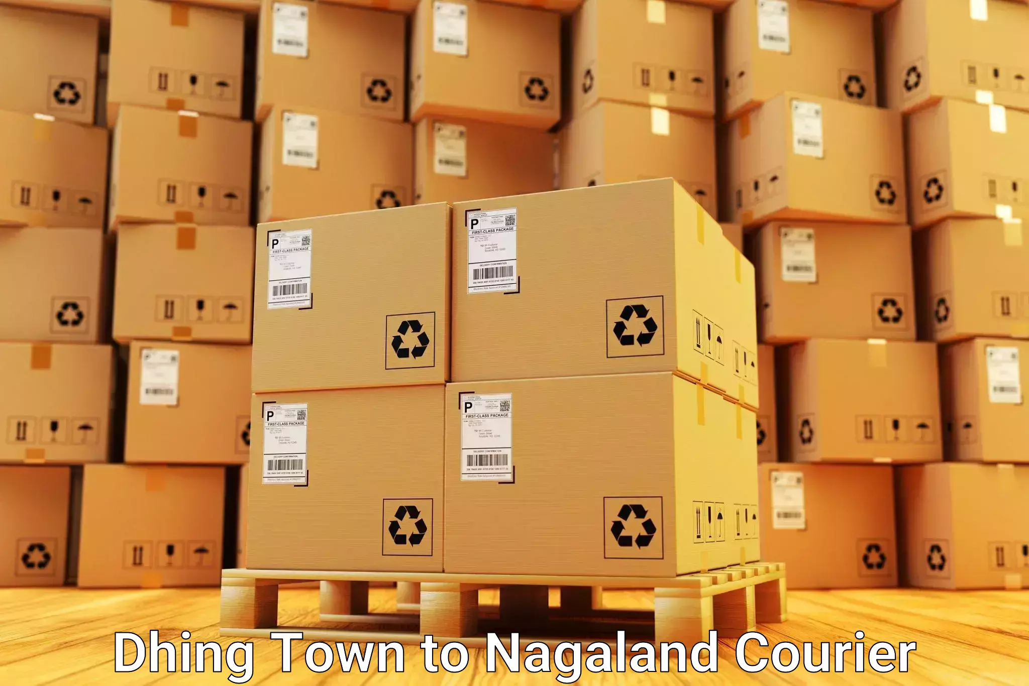 Reliable movers Dhing Town to NIT Nagaland