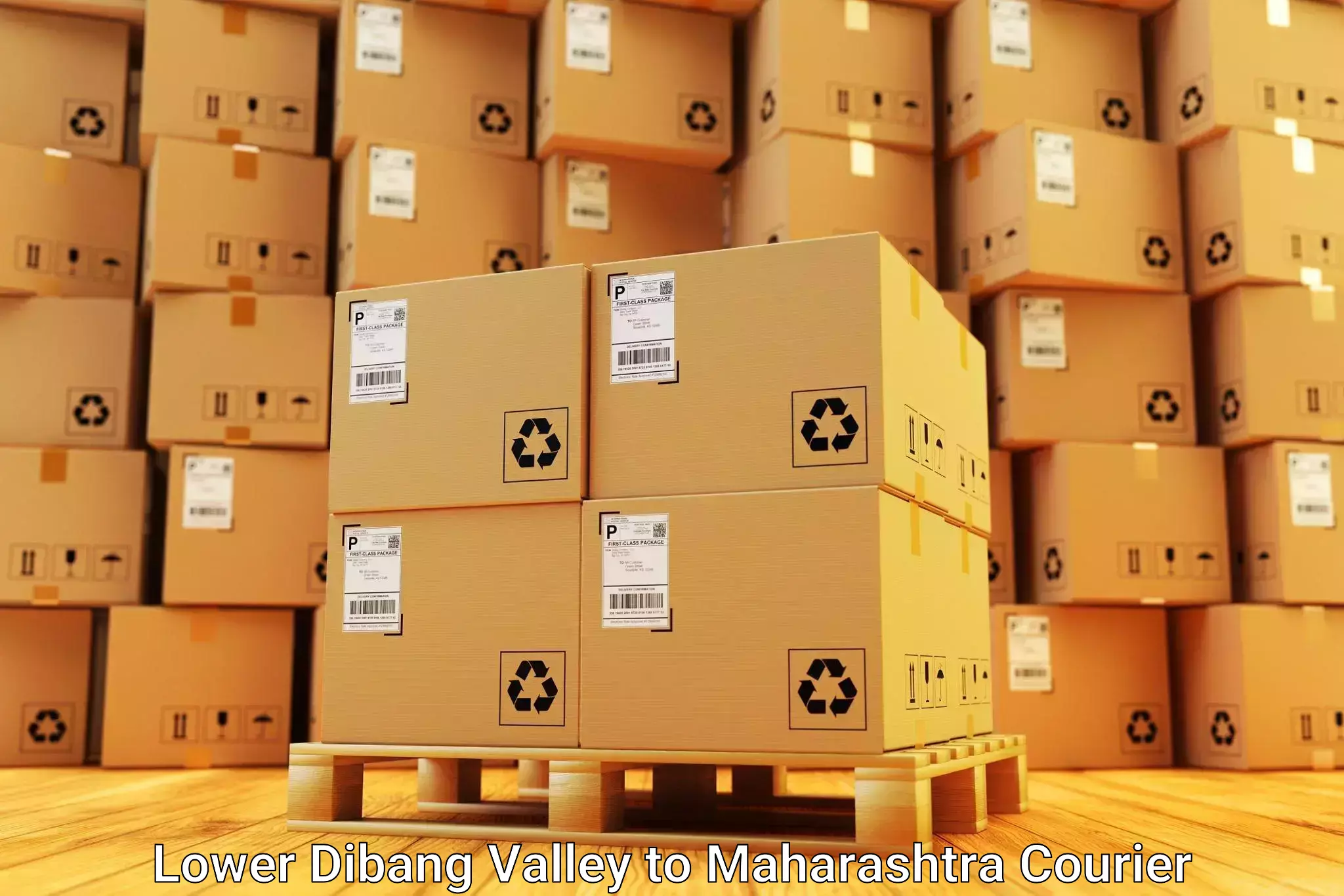 Online household goods transport Lower Dibang Valley to Ballarpur