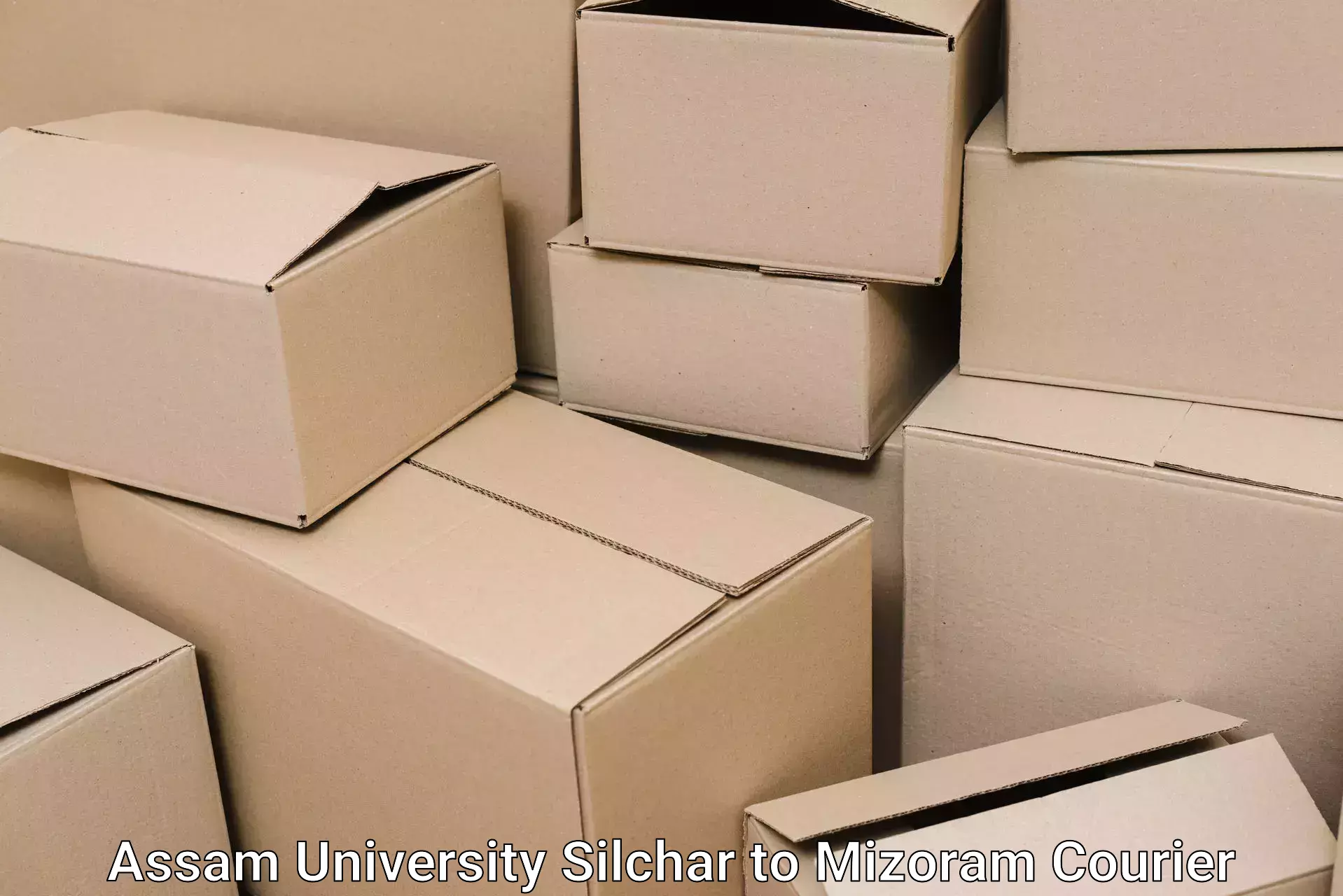 Door-to-door relocation services Assam University Silchar to Mizoram