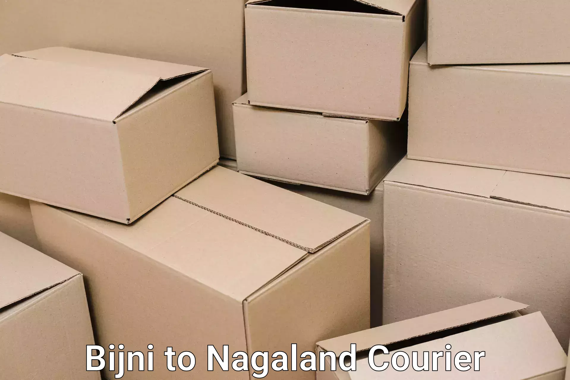 Trusted home movers Bijni to Nagaland