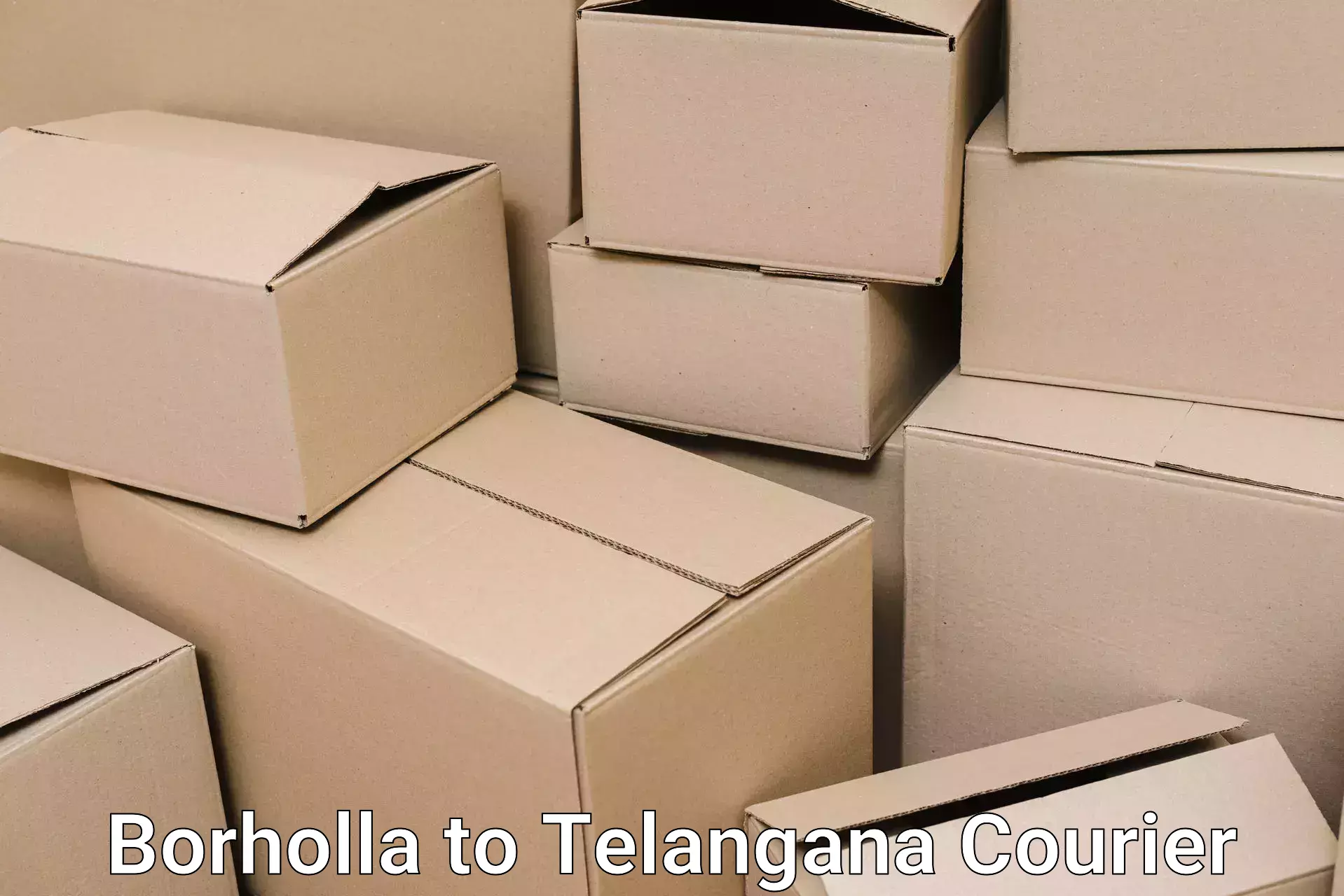 Personalized moving plans Borholla to Aswaraopeta