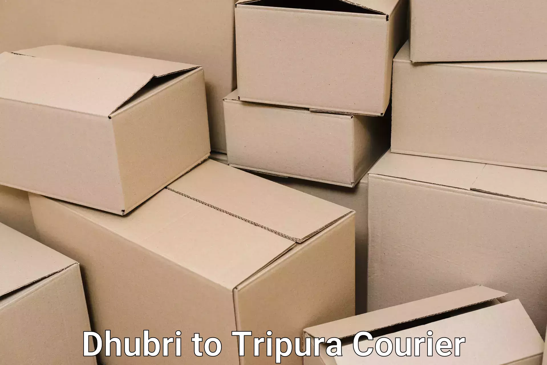 Professional packing and transport Dhubri to Kamalpur