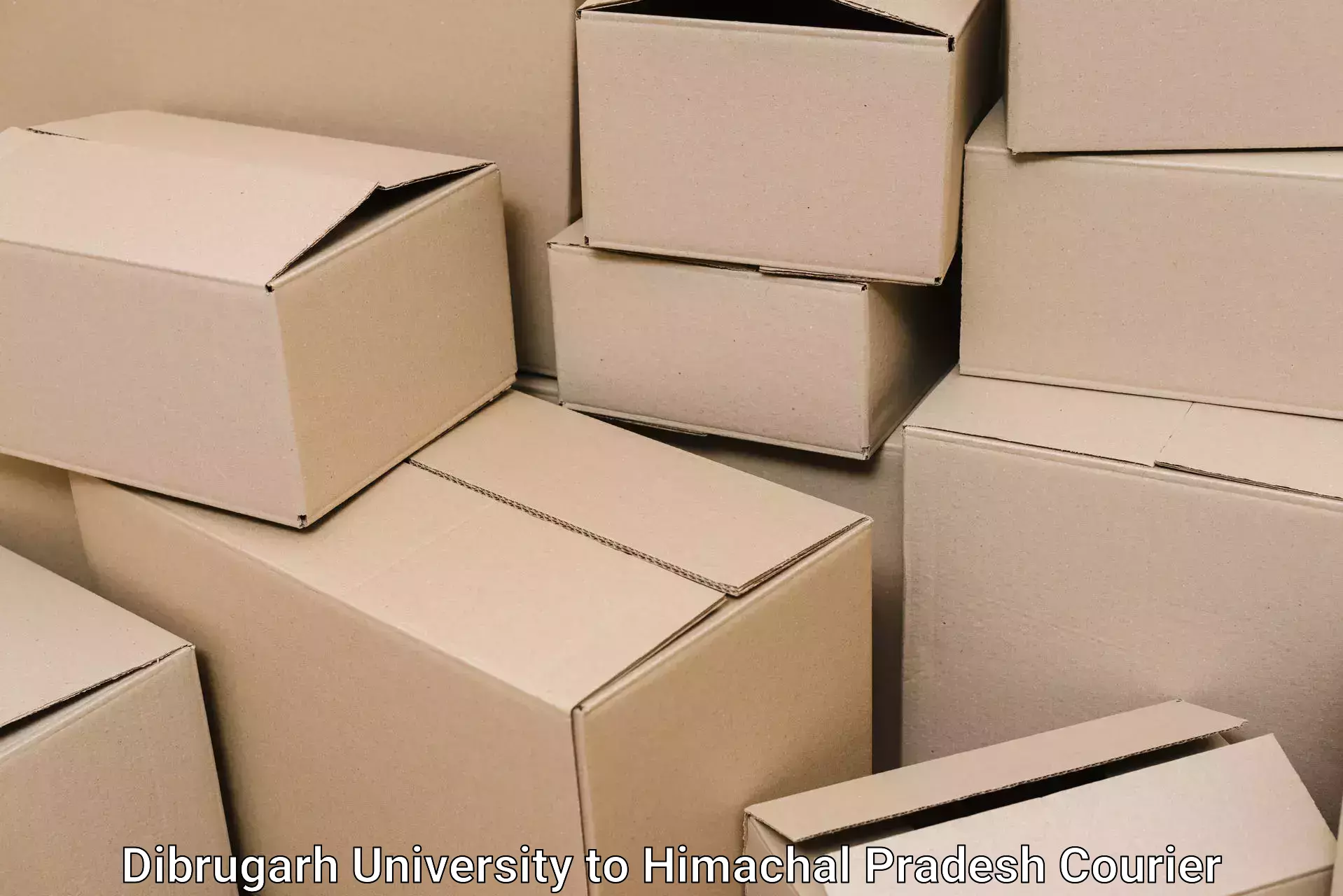 Cost-effective moving options in Dibrugarh University to Dheera