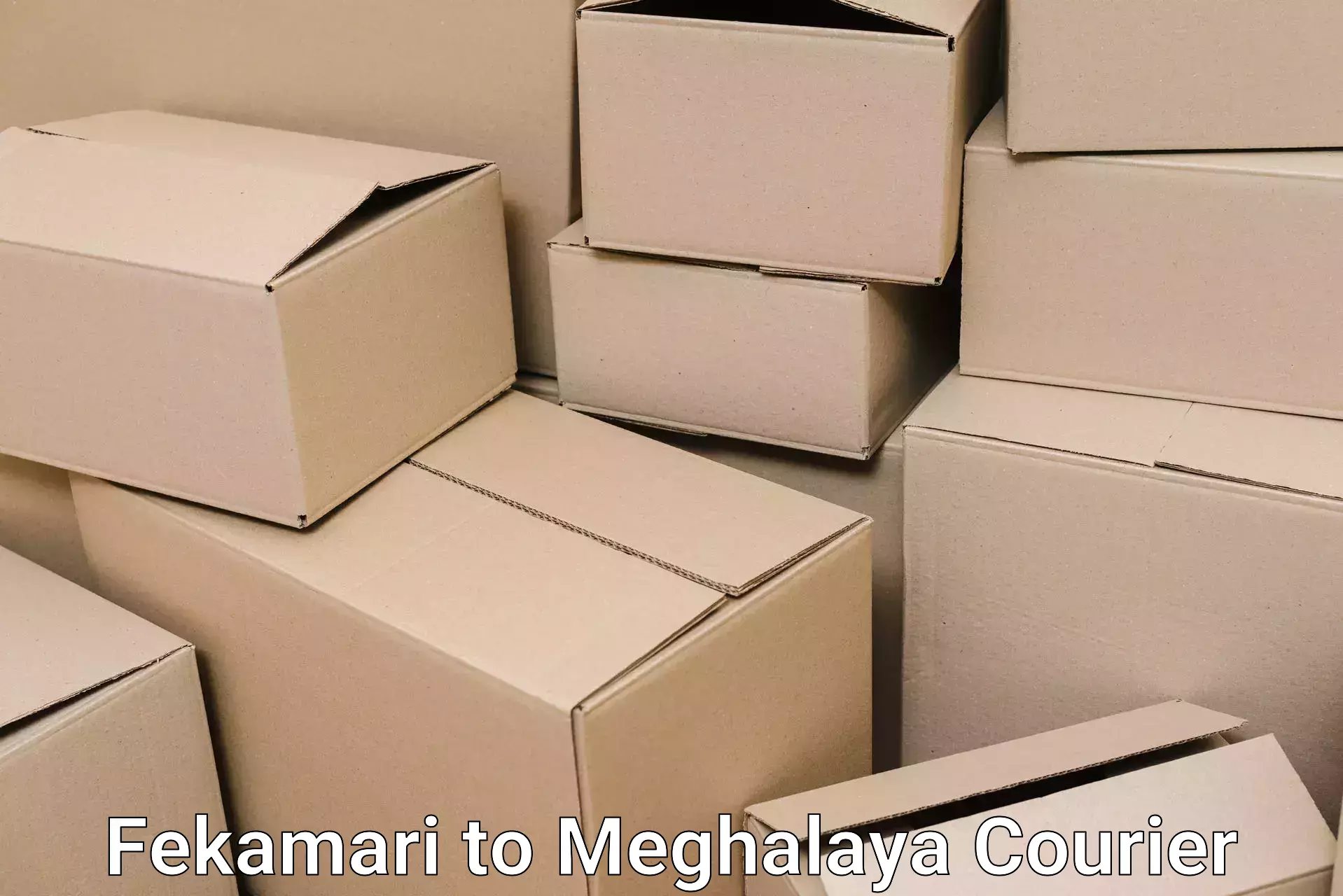 Trusted home movers Fekamari to Meghalaya