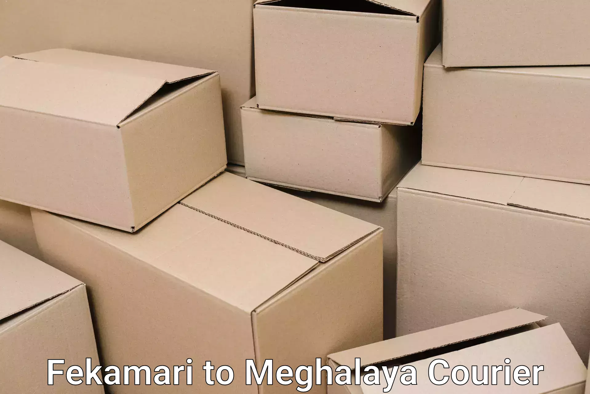 Furniture delivery service Fekamari to South Garo Hills