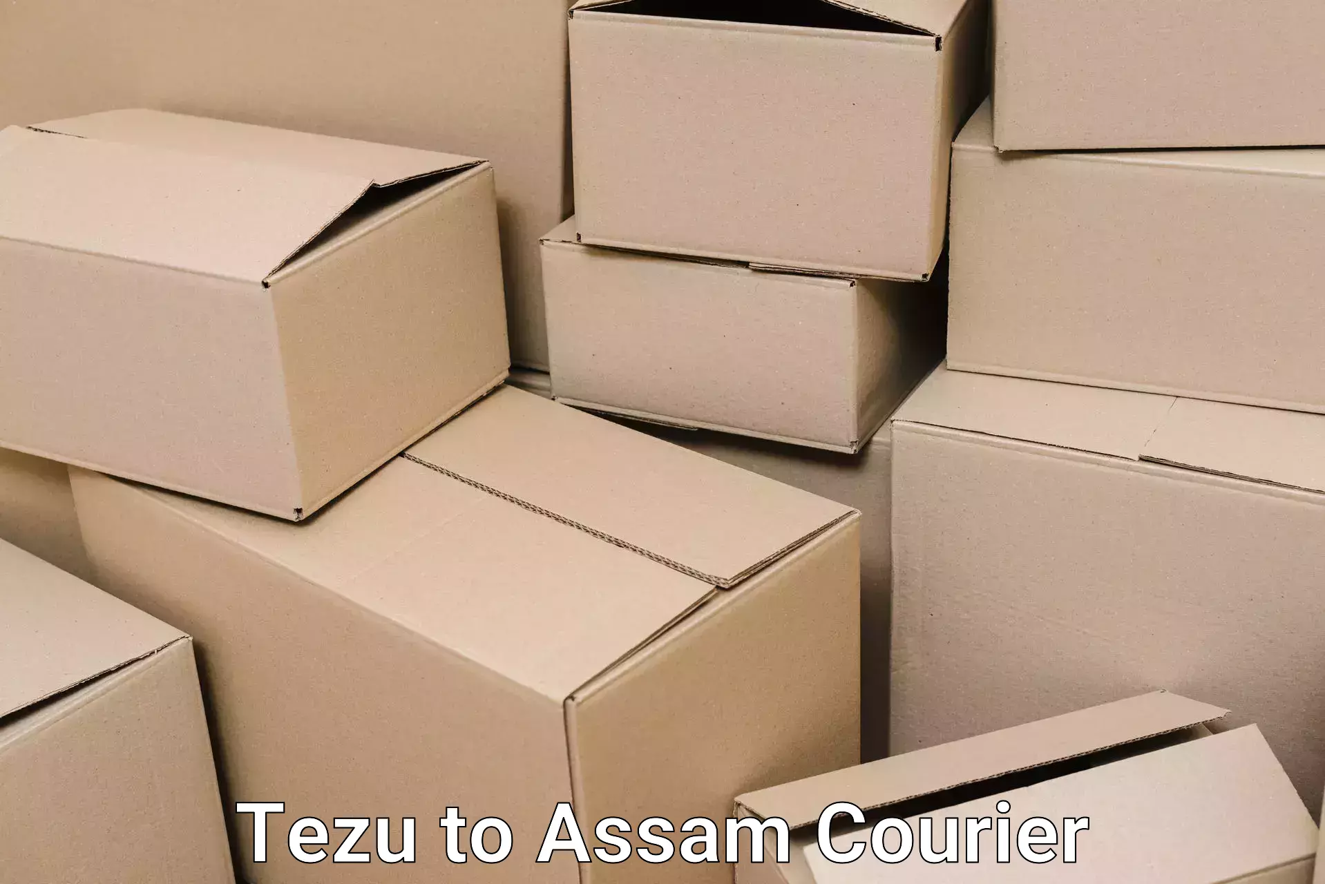 Expert household transport Tezu to Morigaon