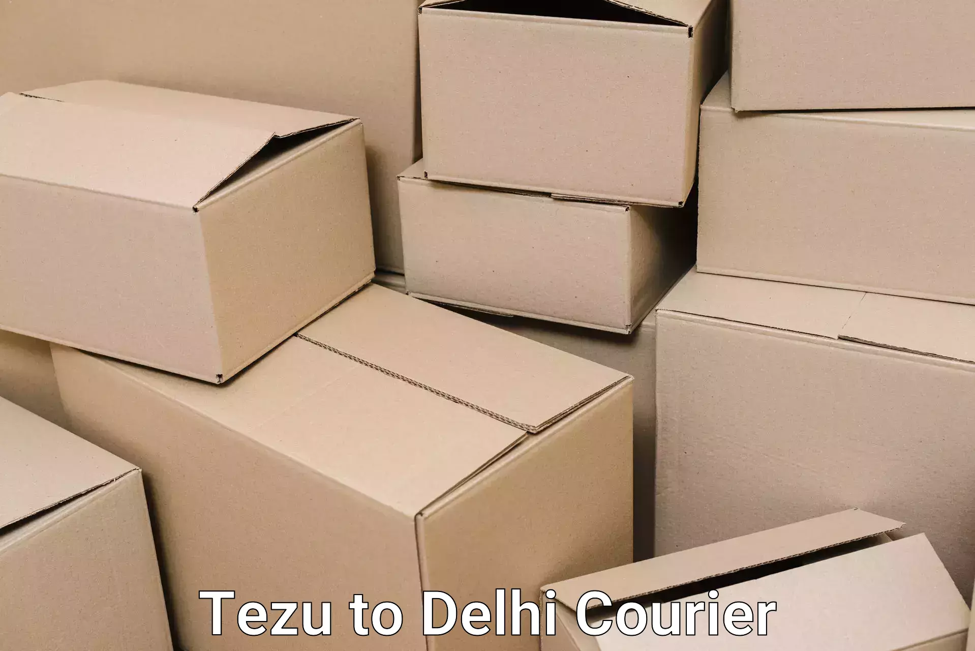 Residential moving services Tezu to Subhash Nagar