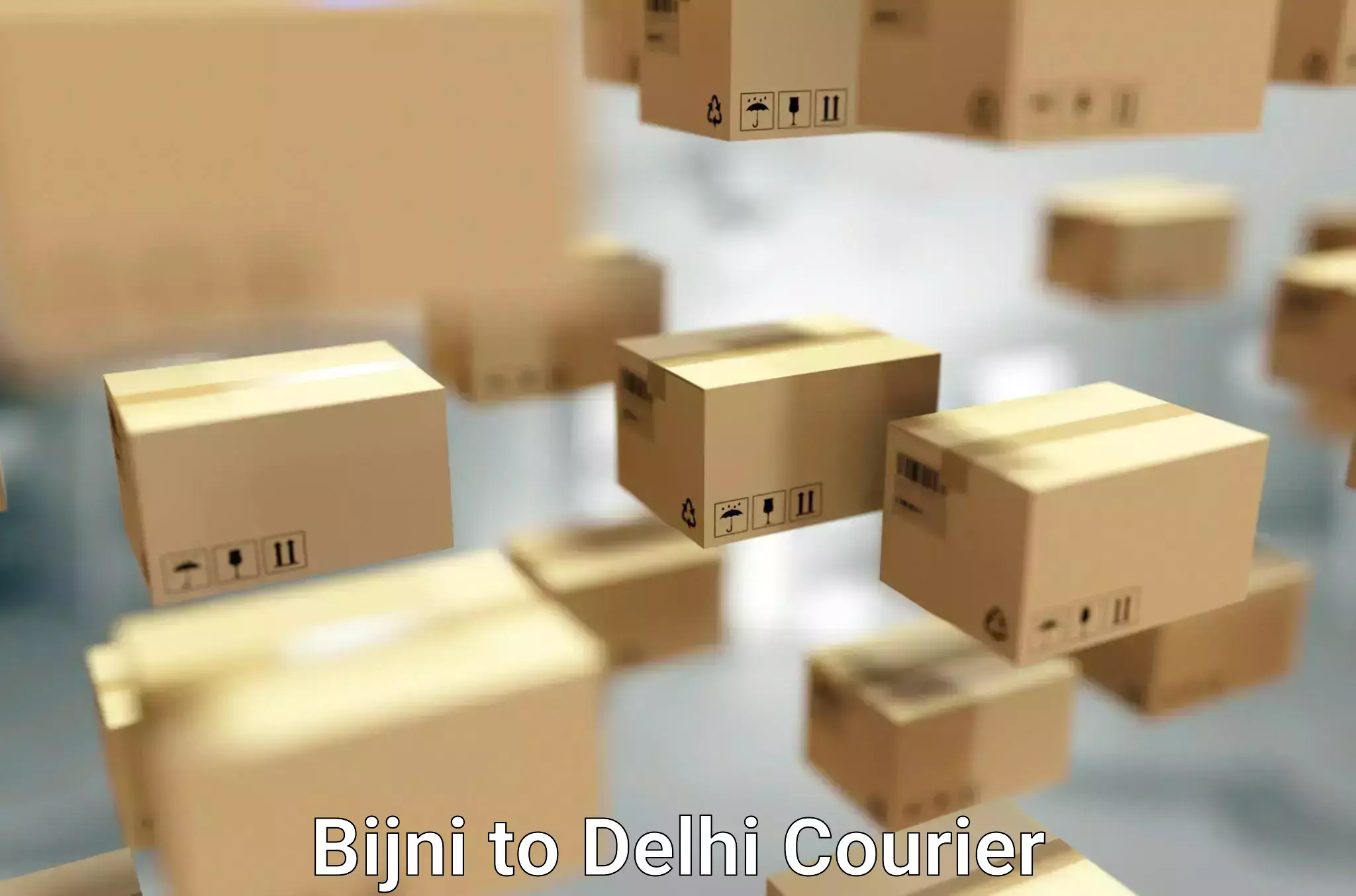 Reliable home moving Bijni to Delhi