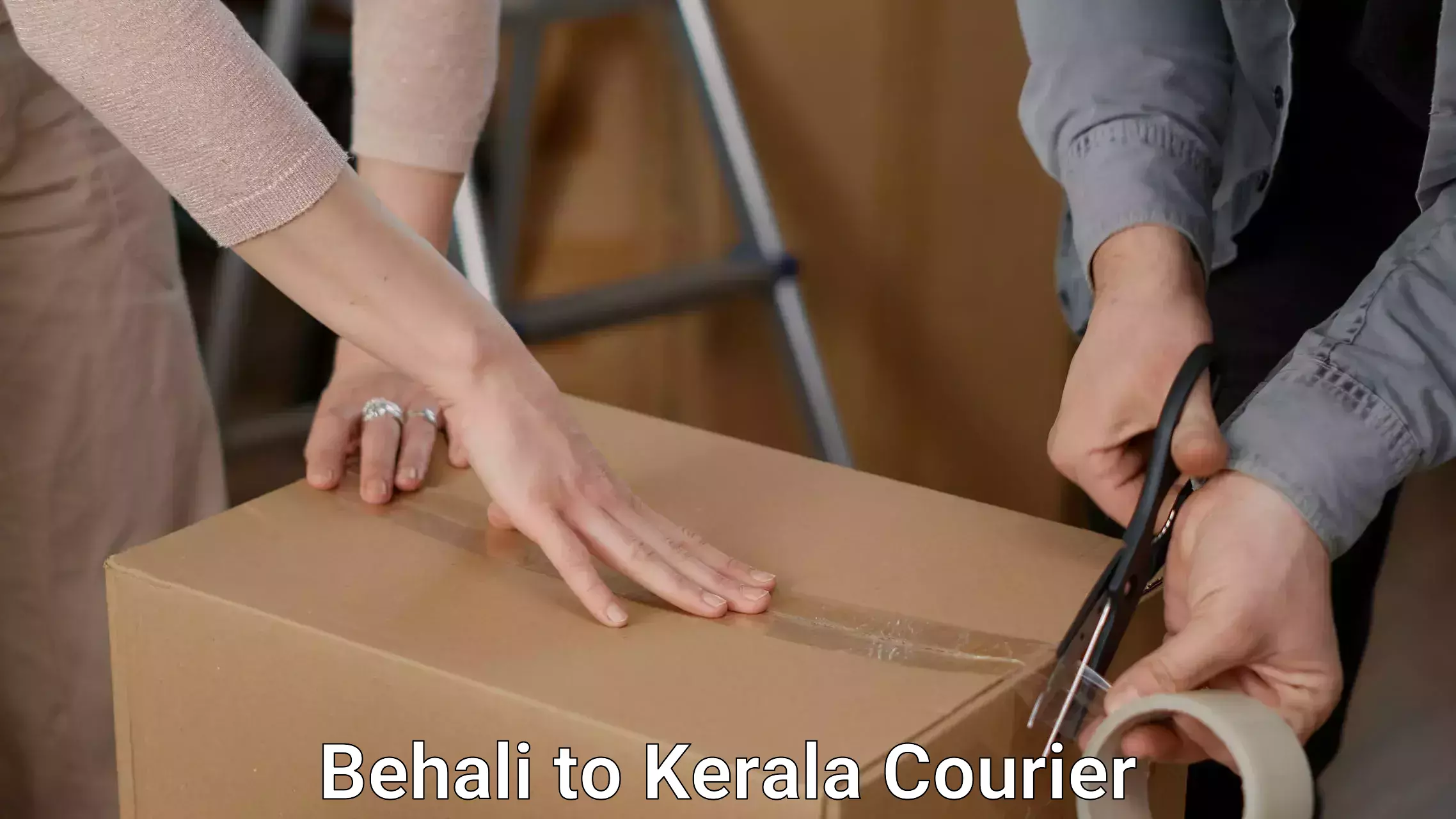 Quality furniture movers Behali to Wayanad