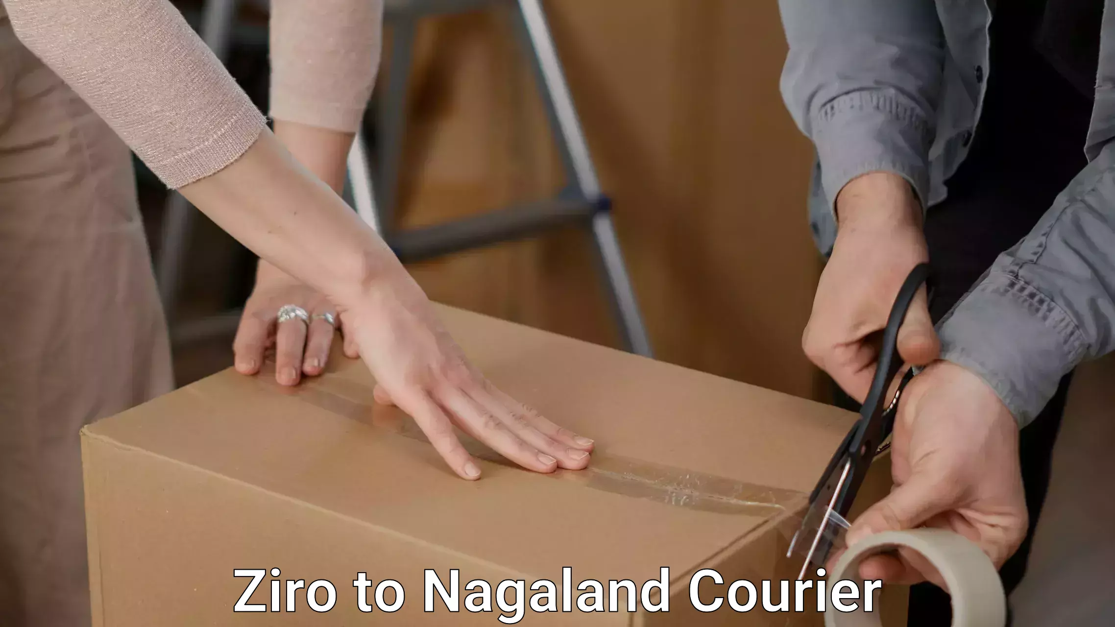 Efficient furniture relocation Ziro to Kiphire