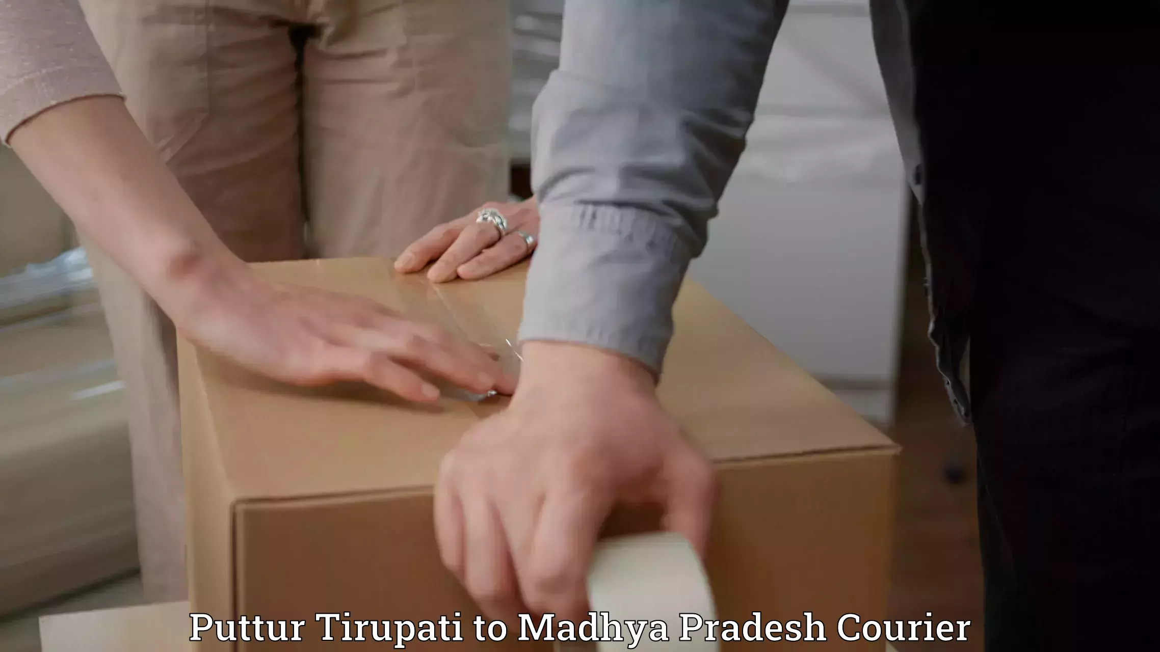 Sports equipment baggage shipping Puttur Tirupati to Madhya Pradesh