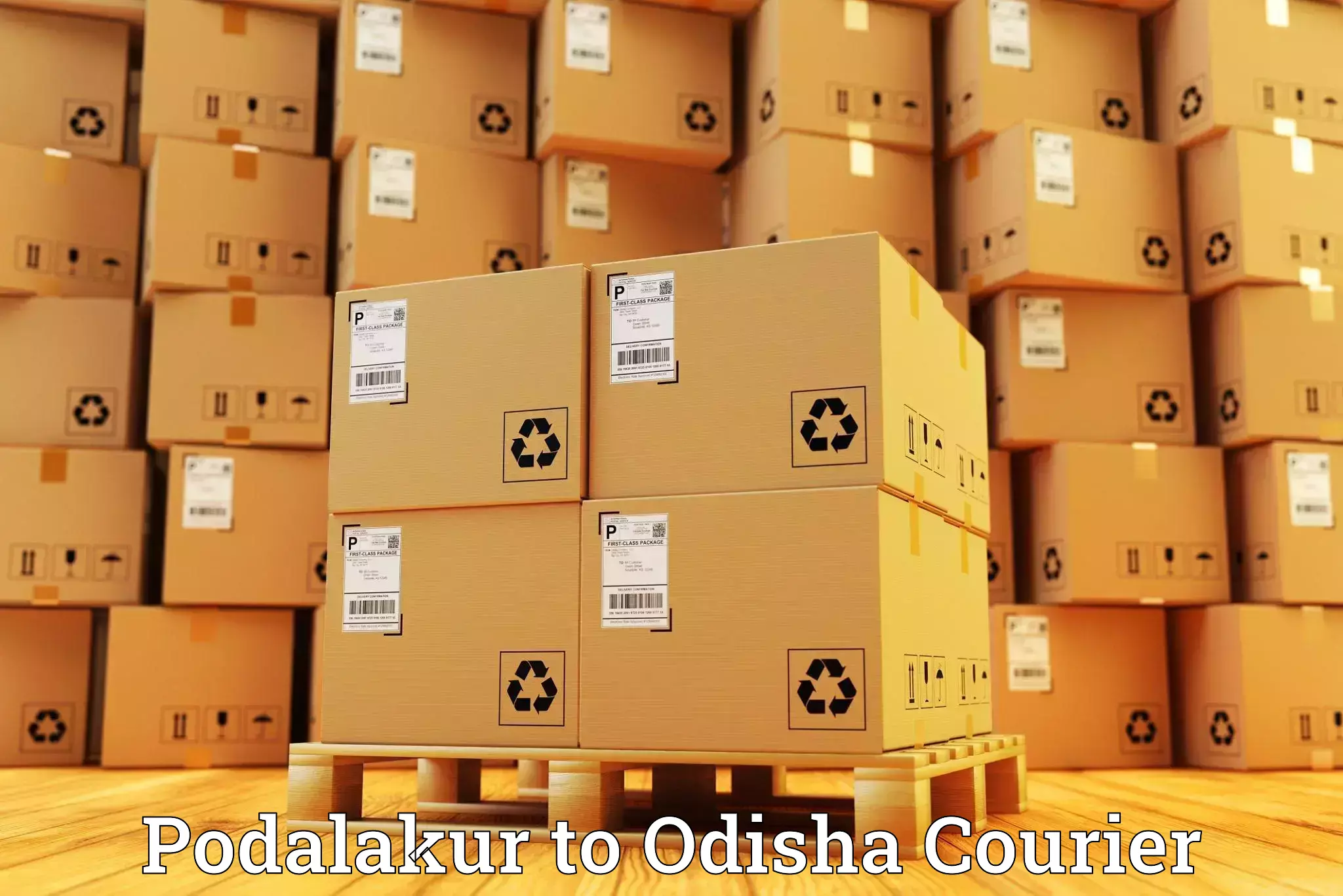 Luggage courier services Podalakur to Rajgangpur