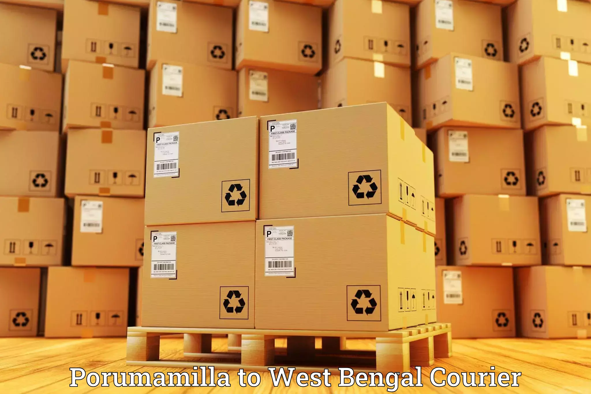 Flexible luggage courier service Porumamilla to Guskhara