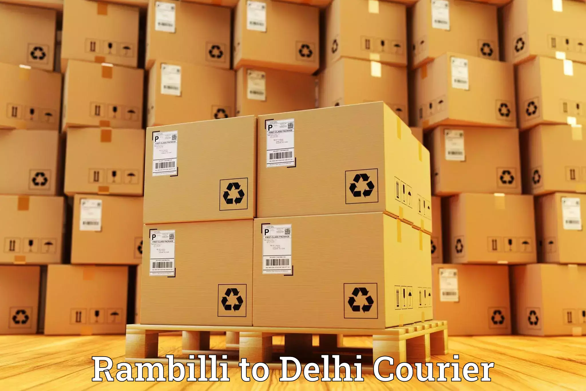 Luggage transport consultancy Rambilli to Delhi