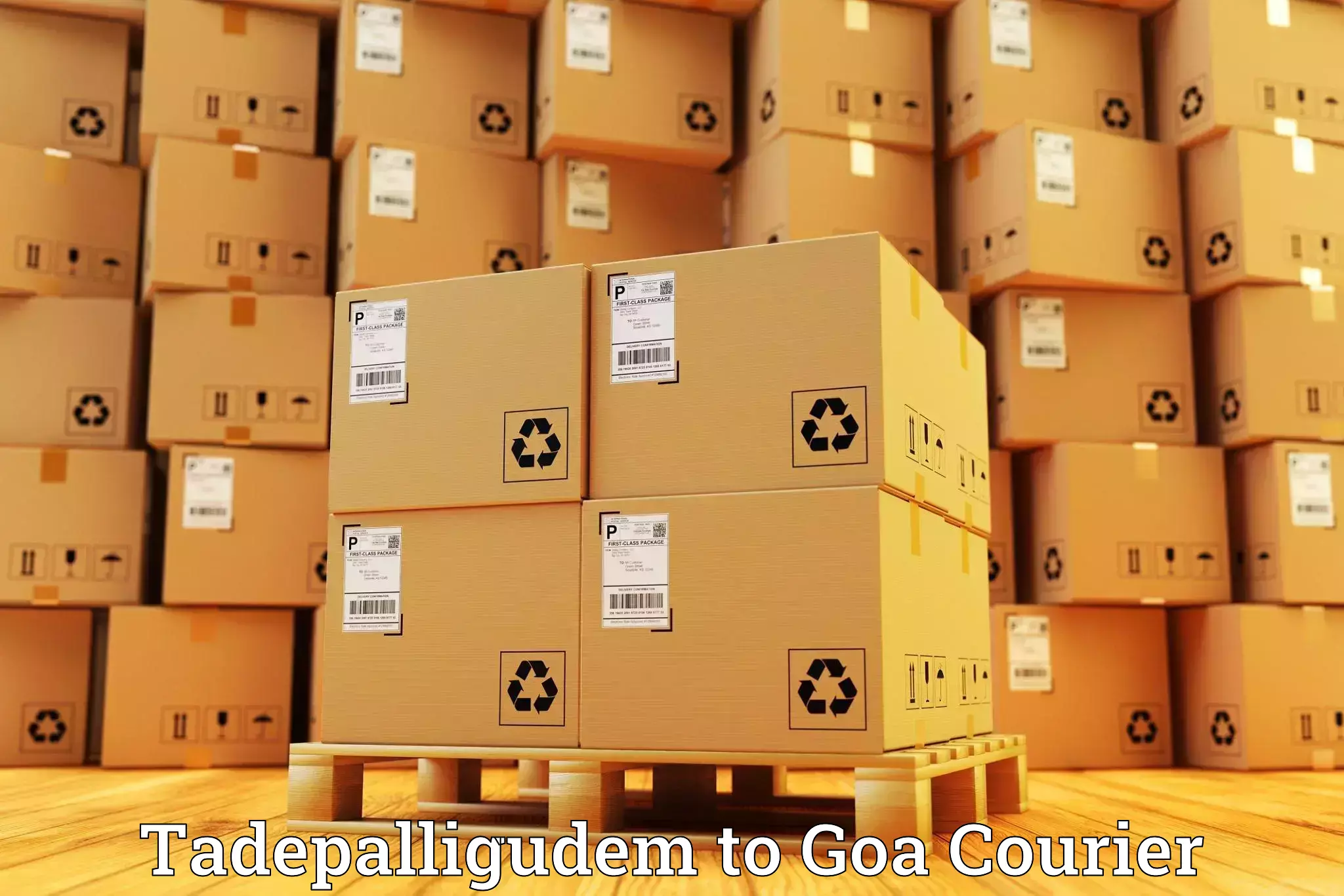 Single item baggage courier Tadepalligudem to Bicholim